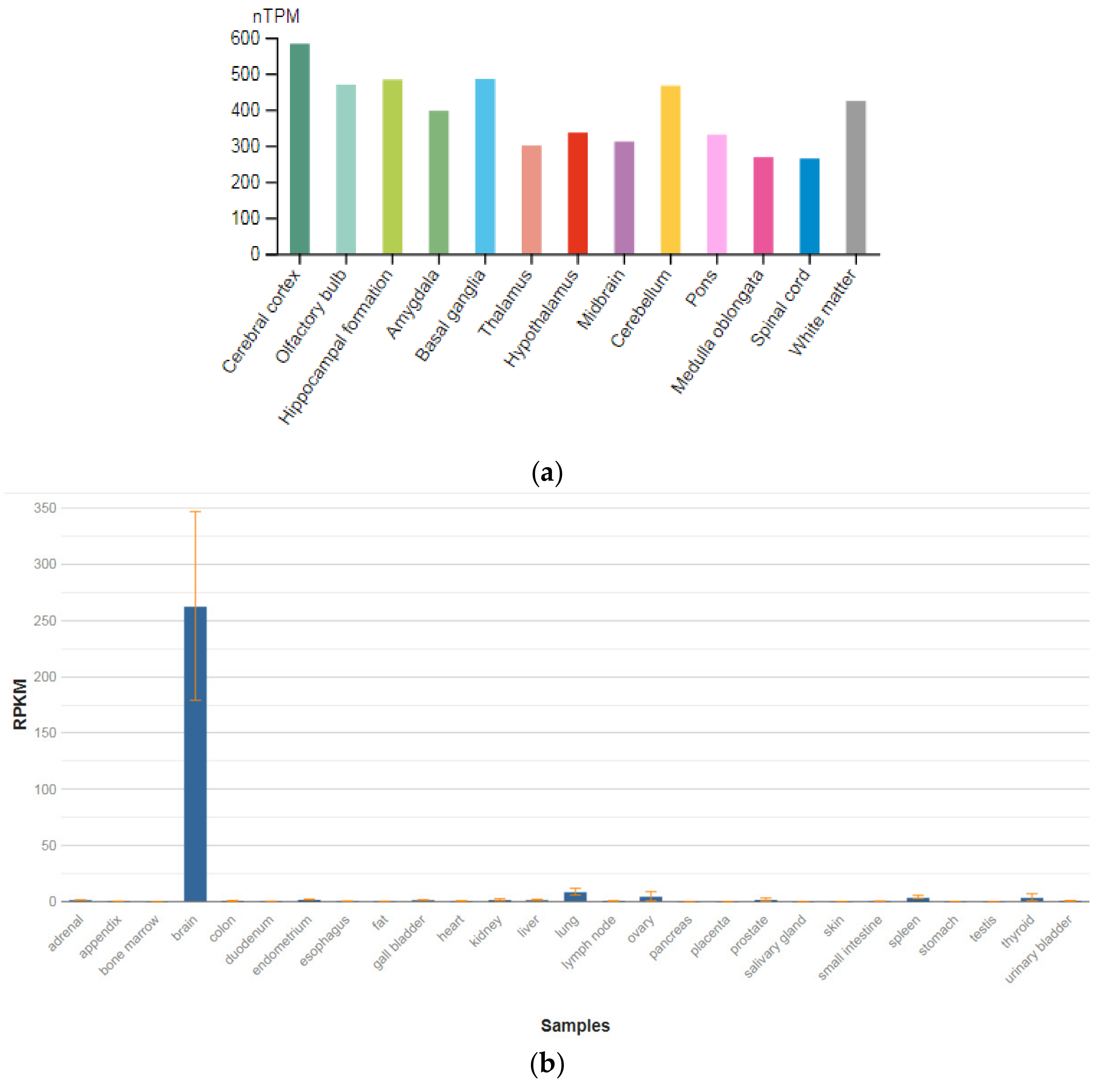 Genes 13 00457 g003 Genes 13 00457 g003