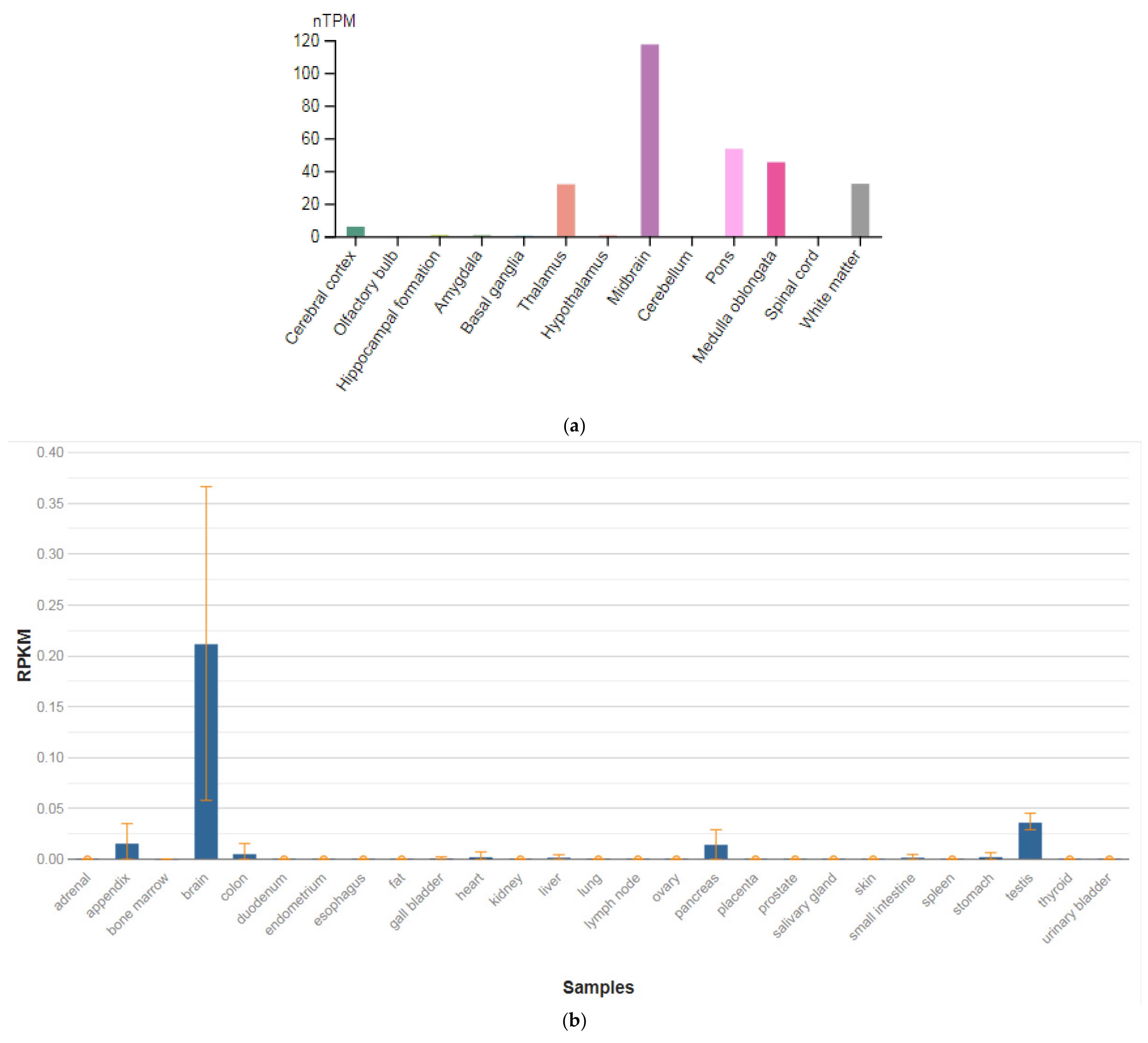 Genes 13 00457 g006 Genes 13 00457 g006