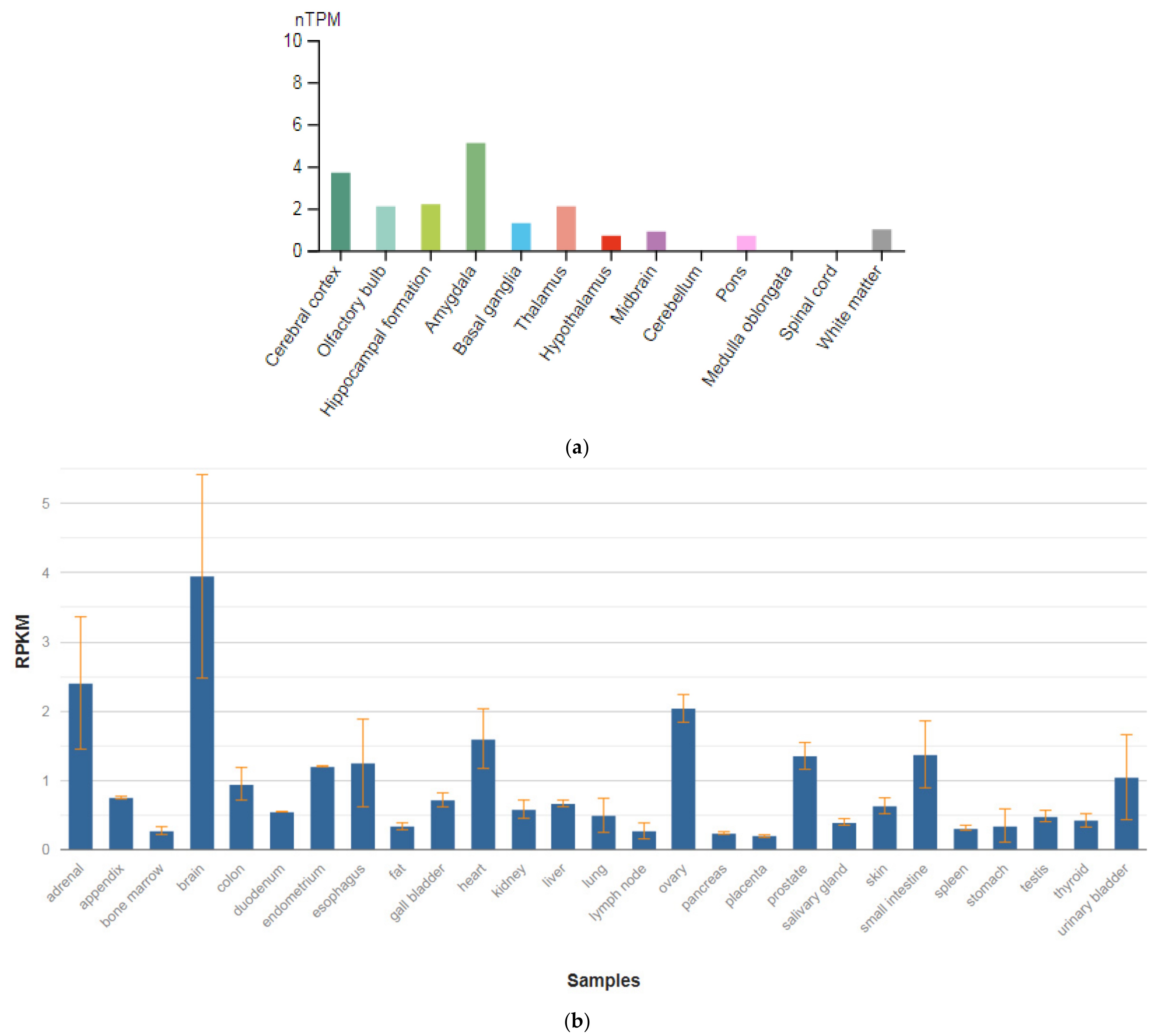 Genes 13 00457 g007 Genes 13 00457 g007