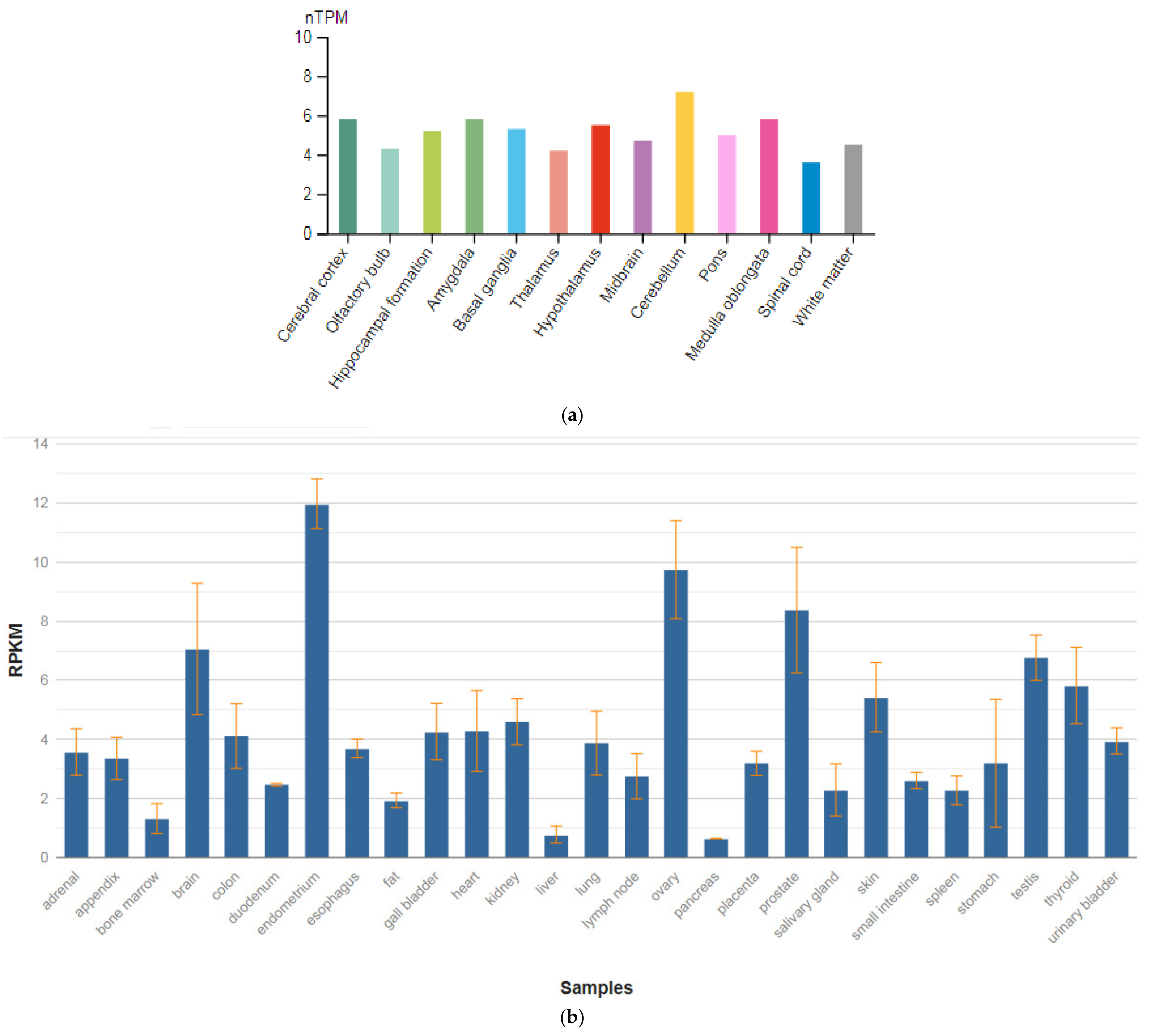 Genes 13 00457 g009 Genes 13 00457 g009