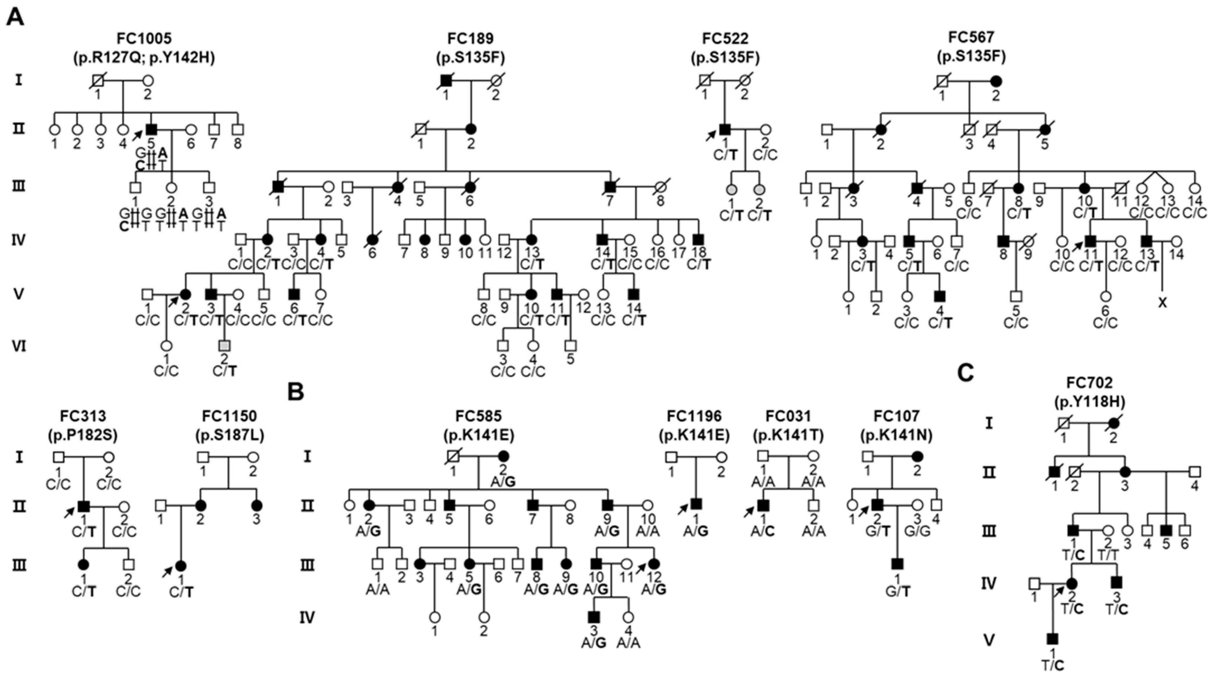Genes 13 00462 g001 Genes 13 00462 g001