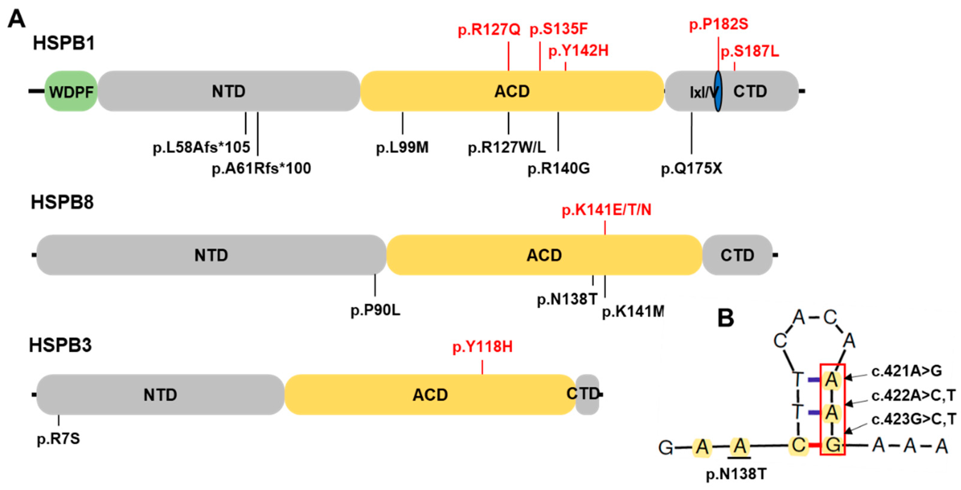 Genes 13 00462 g003 Genes 13 00462 g003