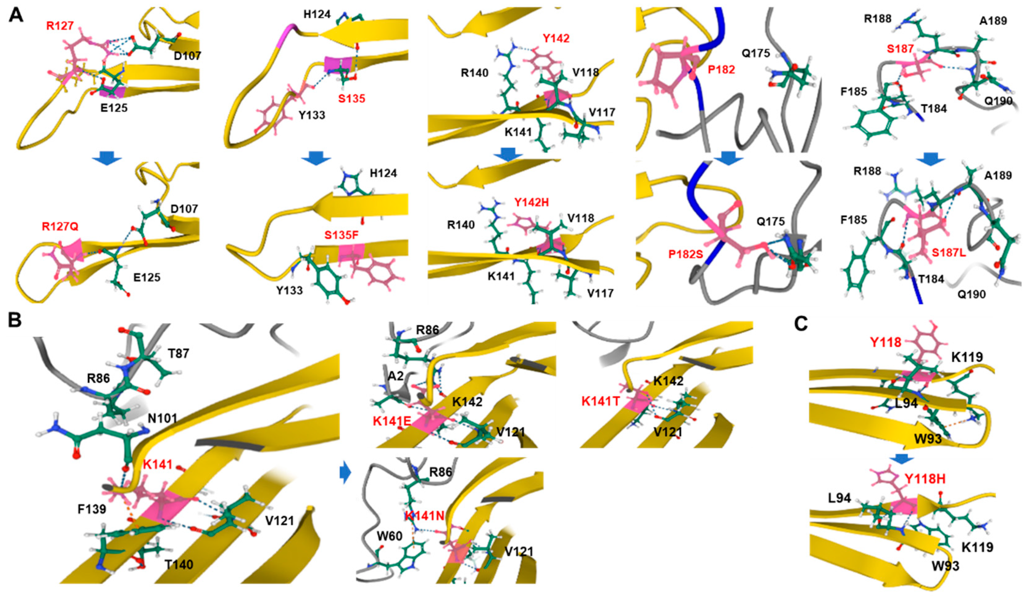 Genes 13 00462 g004 Genes 13 00462 g004