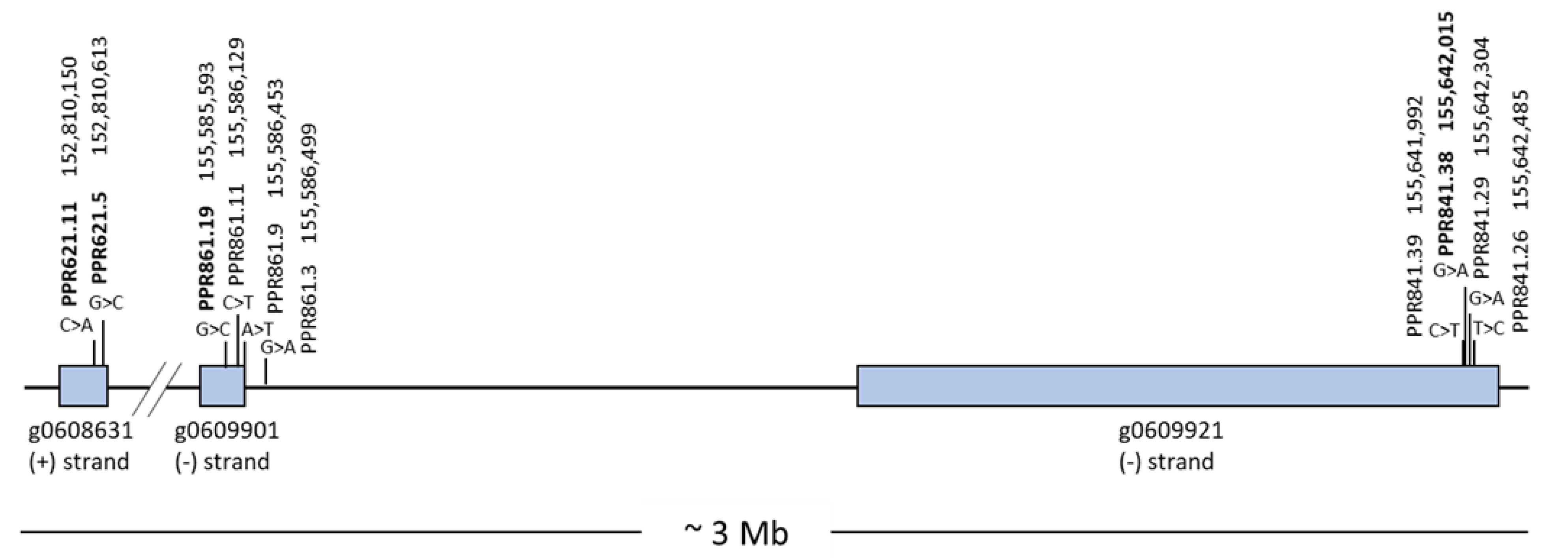 Genes 13 00465 g001 Genes 13 00465 g001
