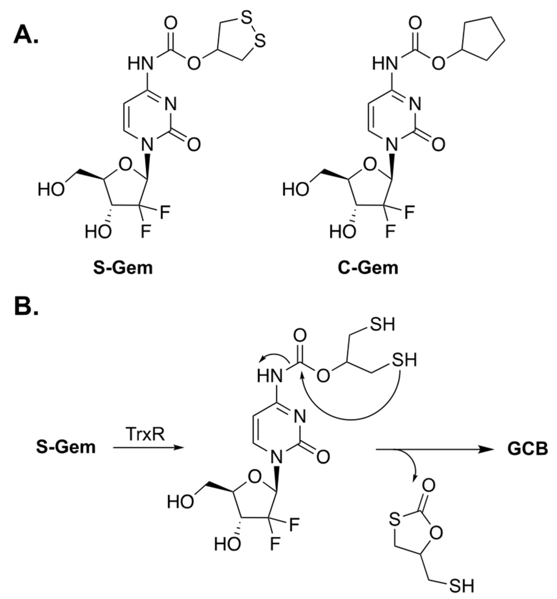 Genes 13 00466 g002 550