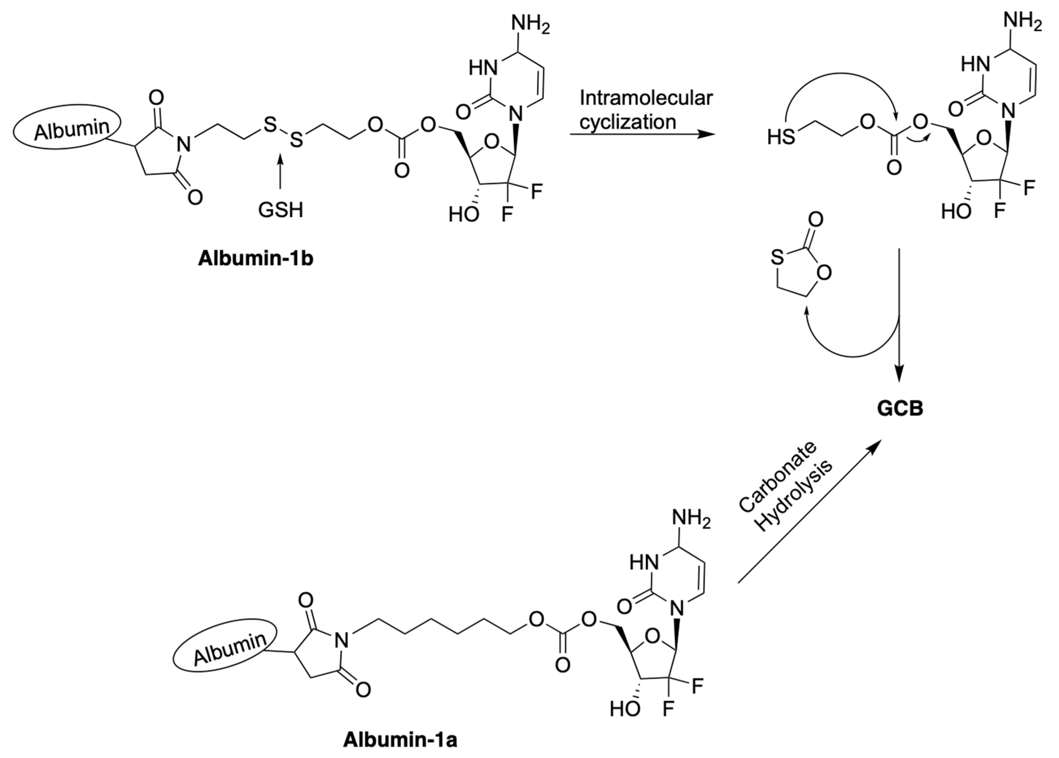 Genes 13 00466 g005 550