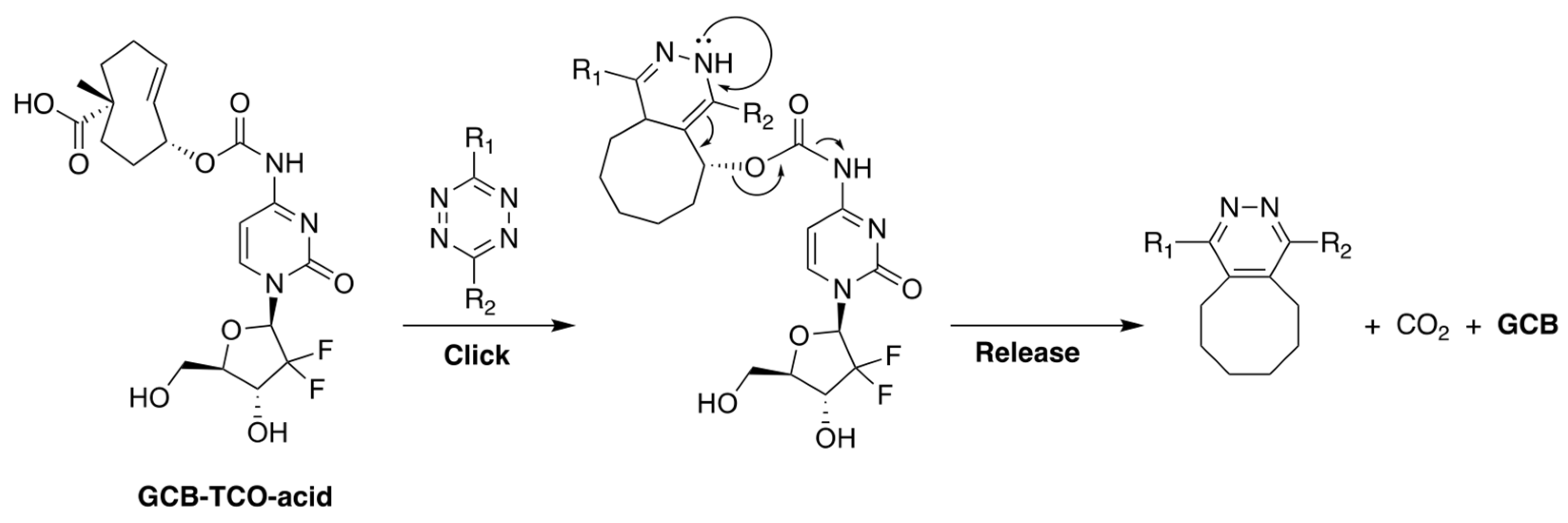 Genes 13 00466 g007 550