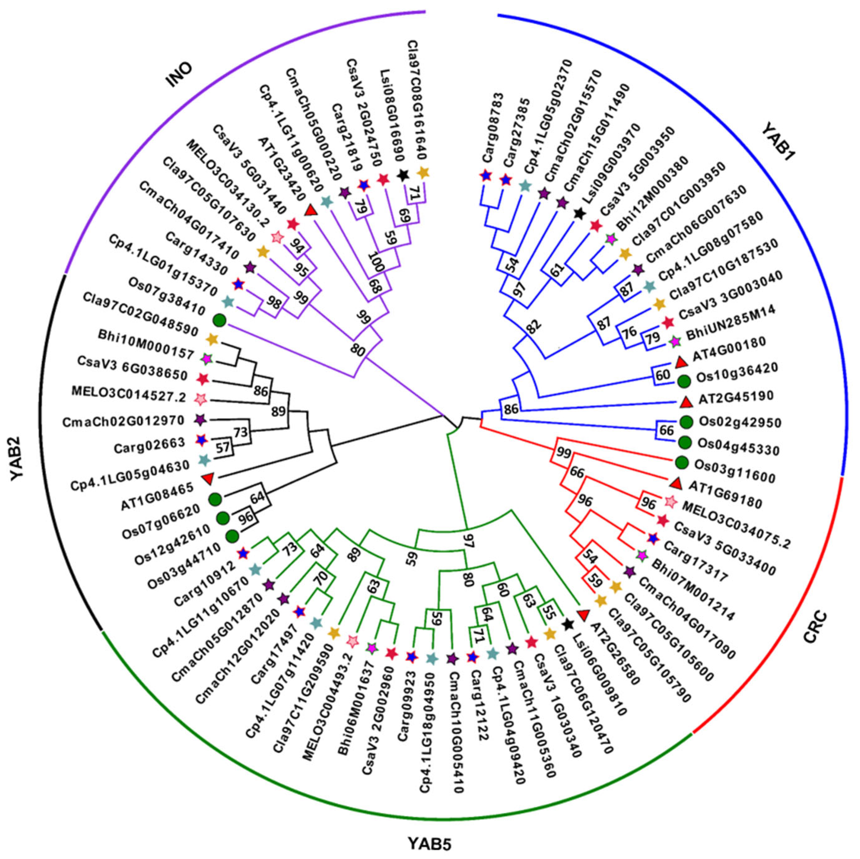 Genes 13 00467 g001 550