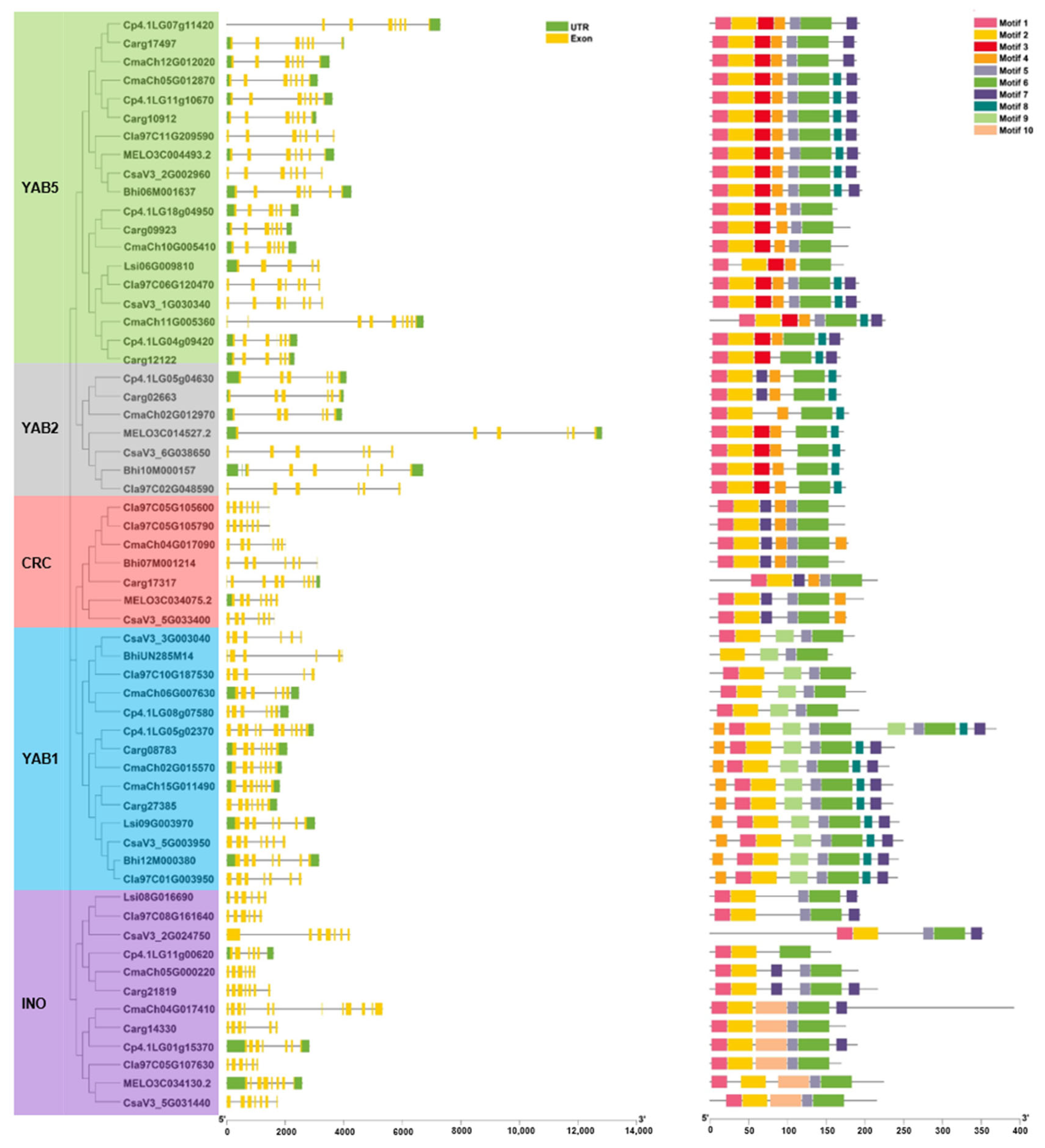 Genes 13 00467 g003 550
