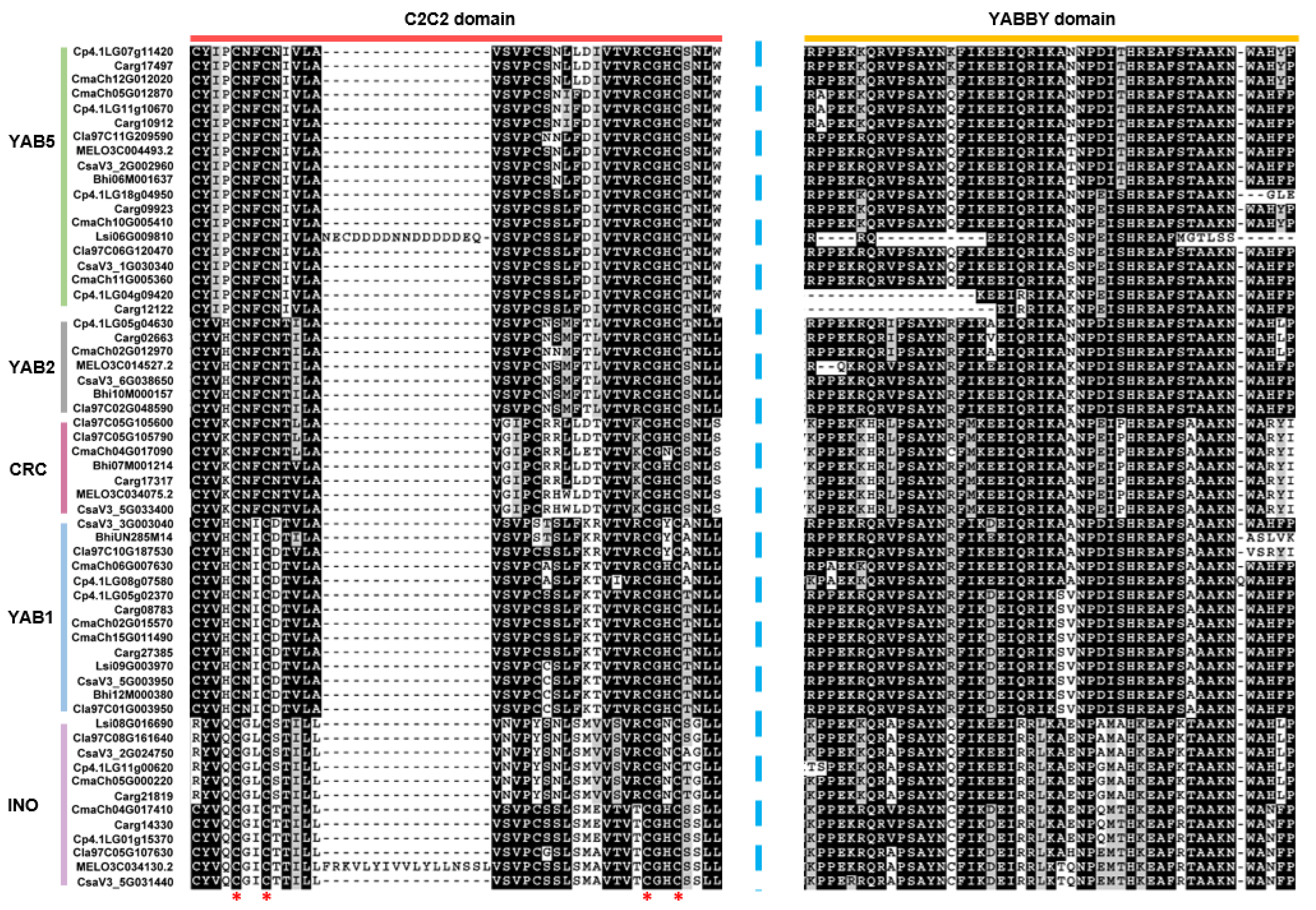 Genes 13 00467 g004 550