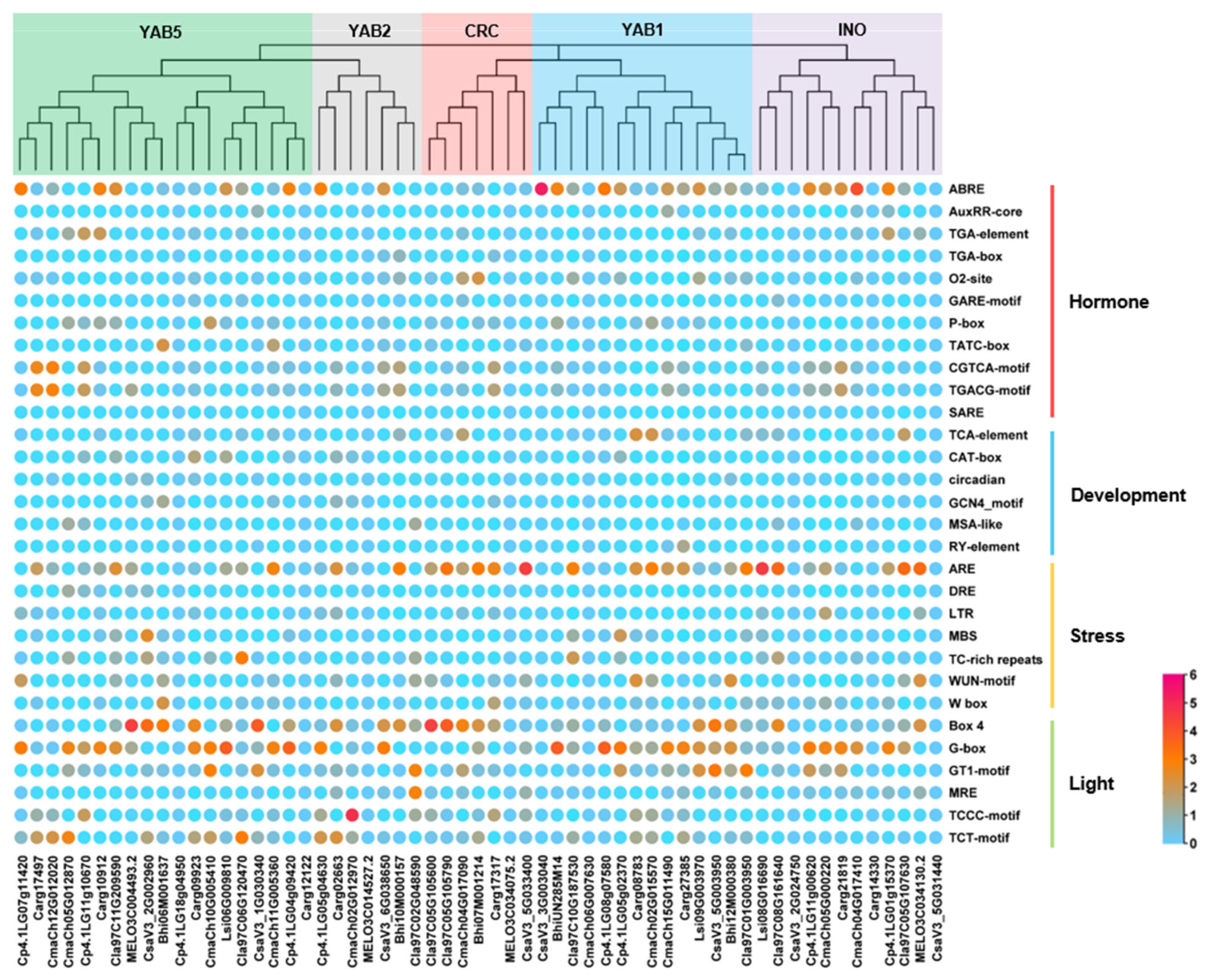 Genes 13 00467 g005 550