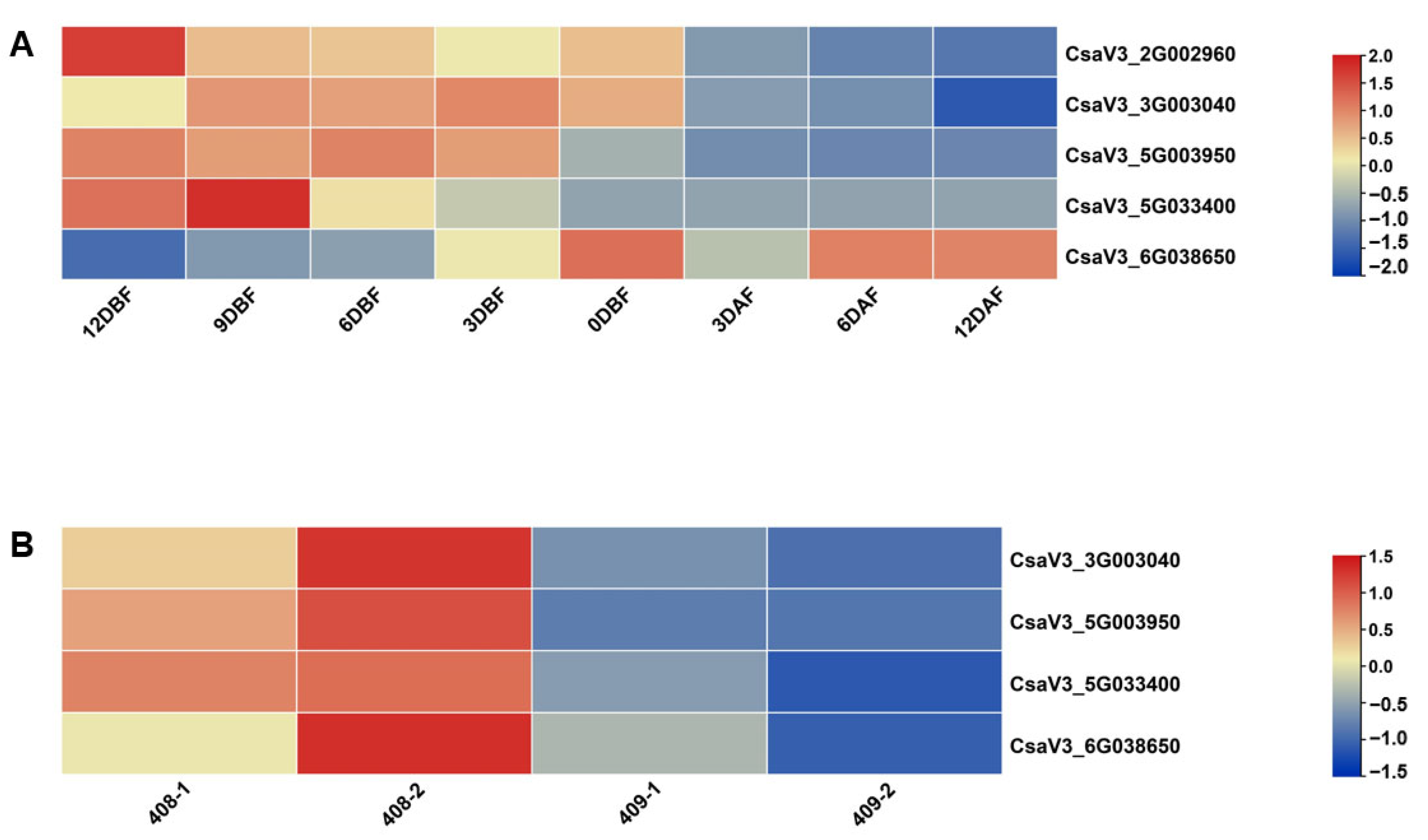 Genes 13 00467 g007 550