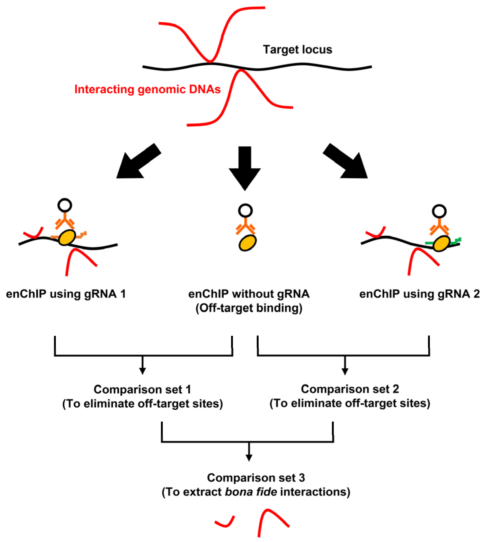 Genes 13 00472 g001