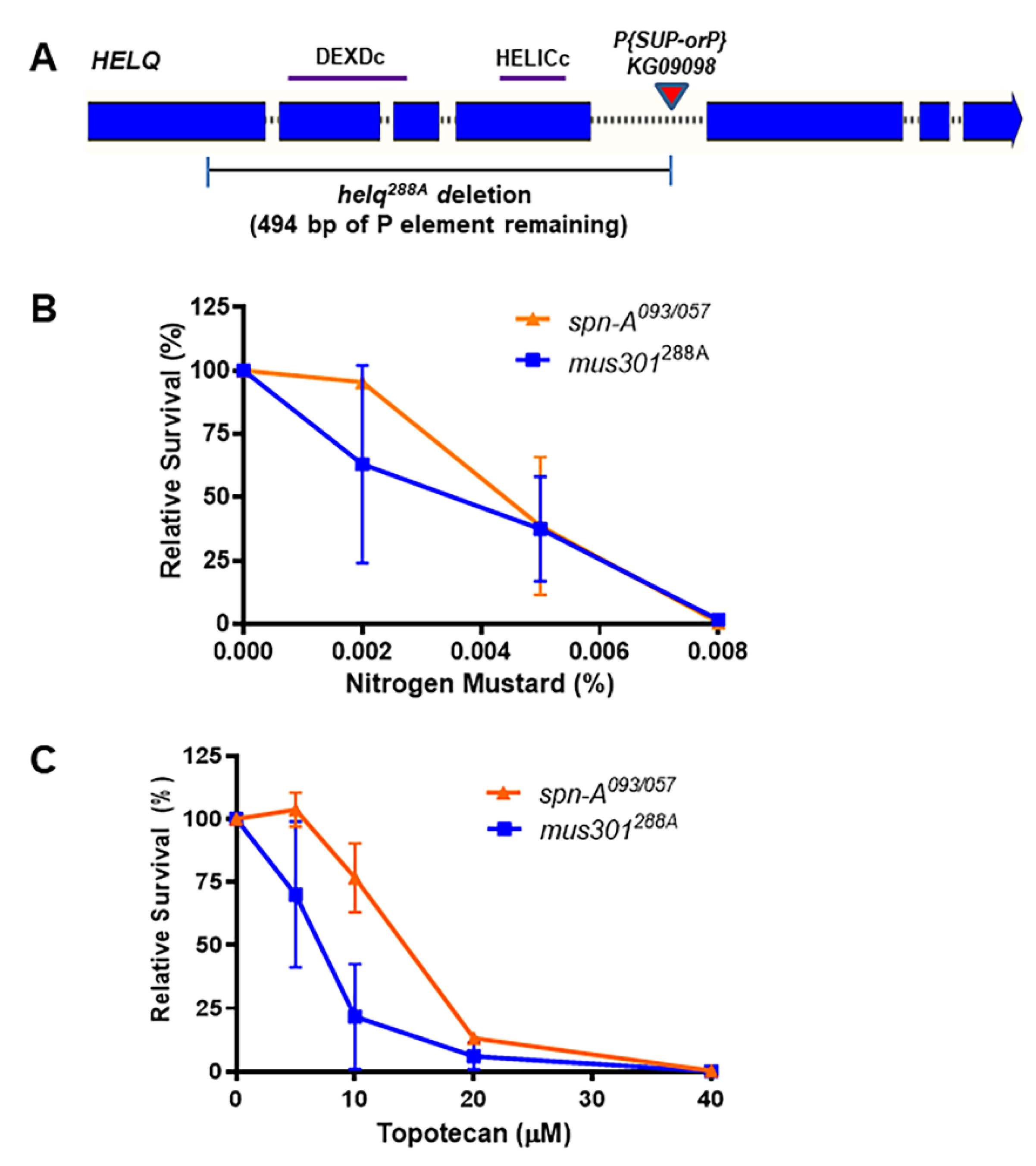 Genes 13 00474 g001