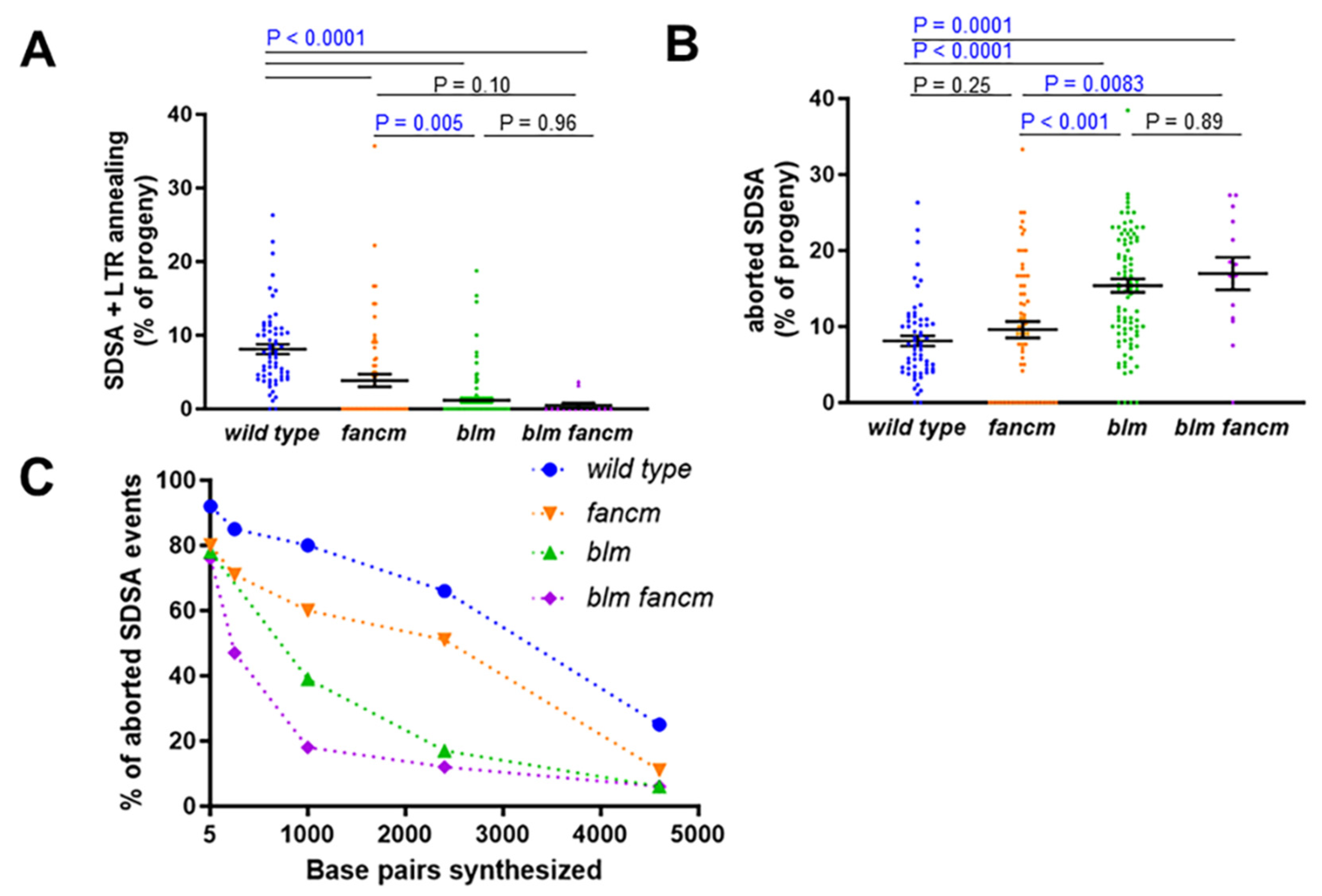 Genes 13 00474 g004
