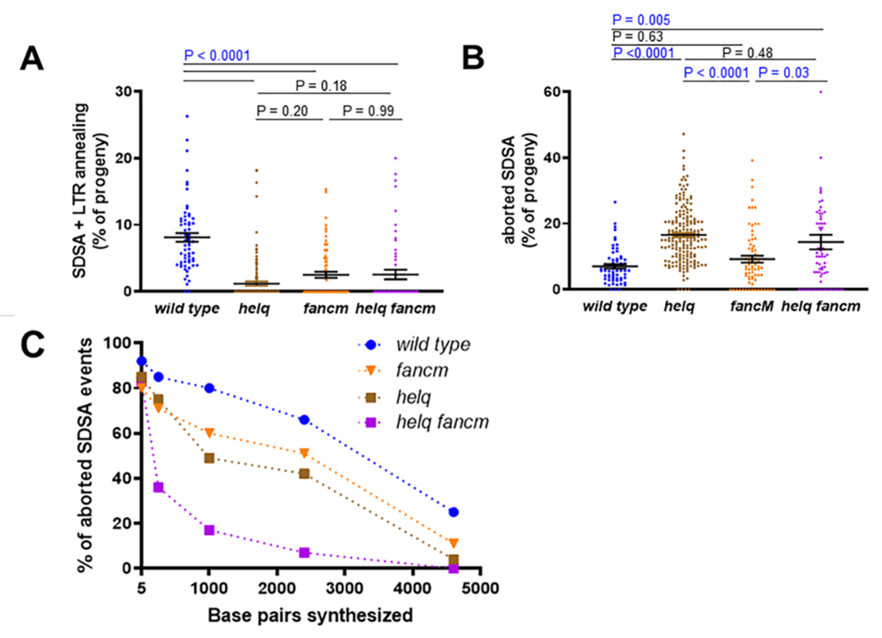 Genes 13 00474 g005