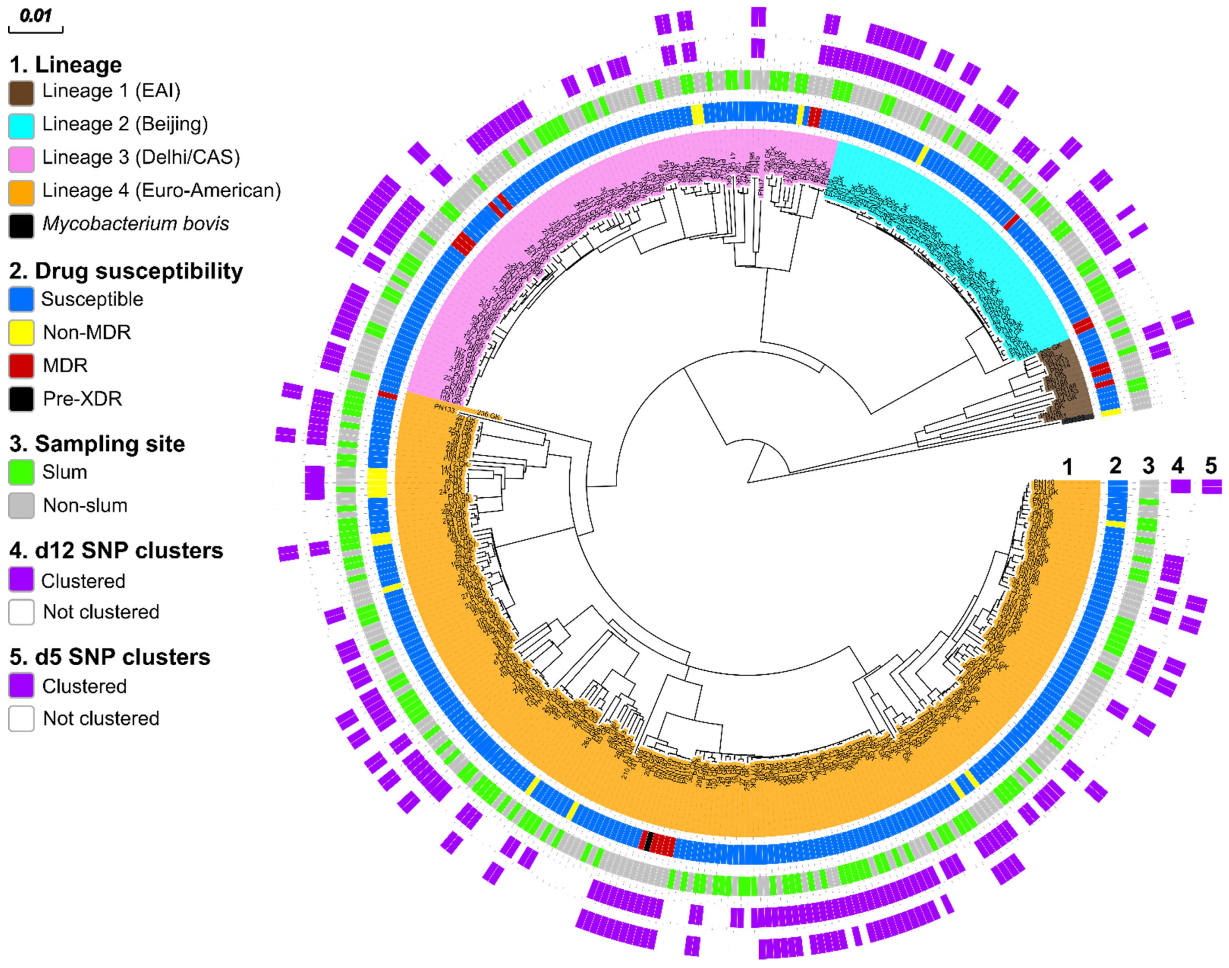 Genes 13 00475 g002 Genes 13 00475 g002