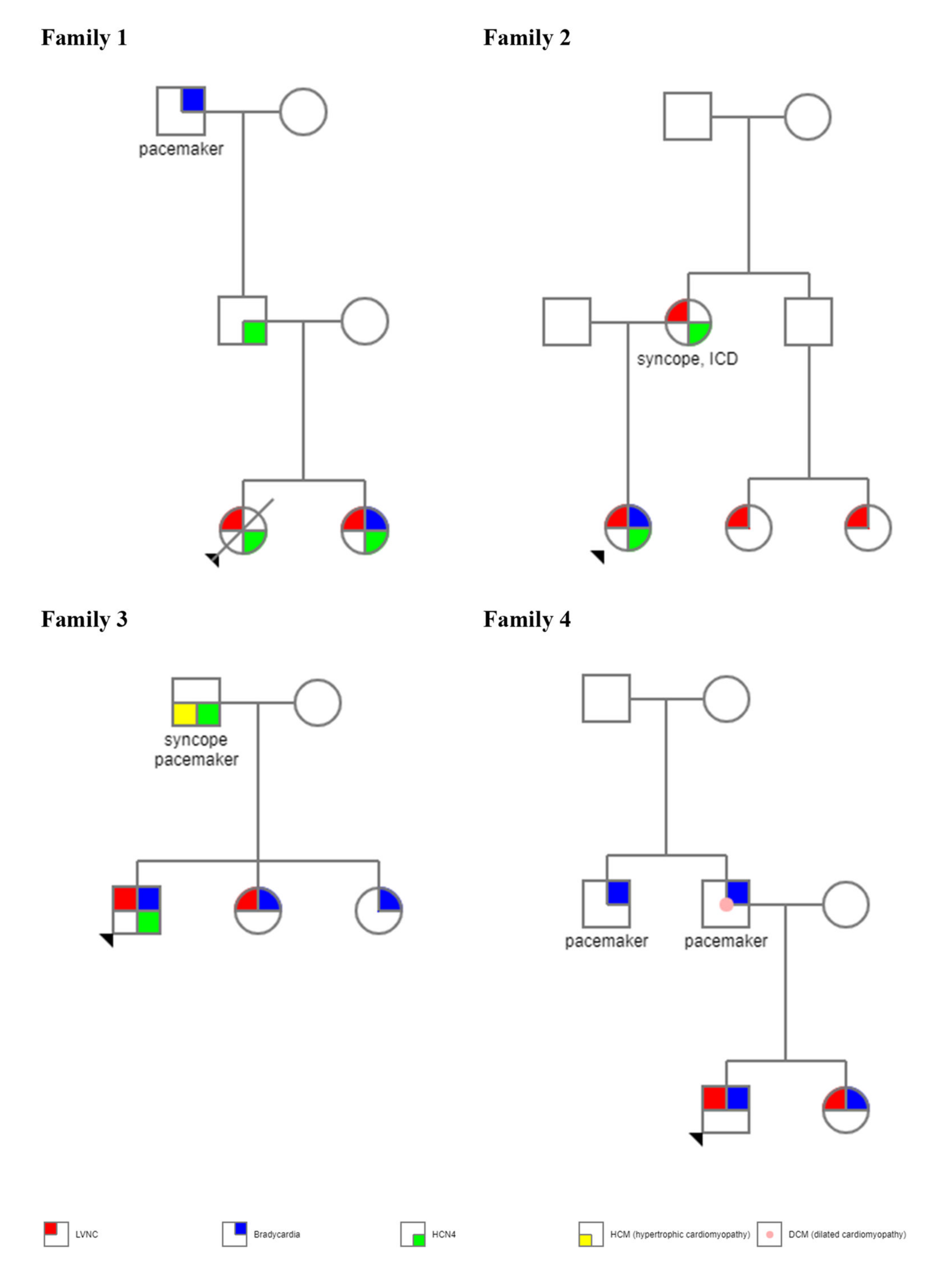 Genes 13 00477 g001 Genes 13 00477 g001