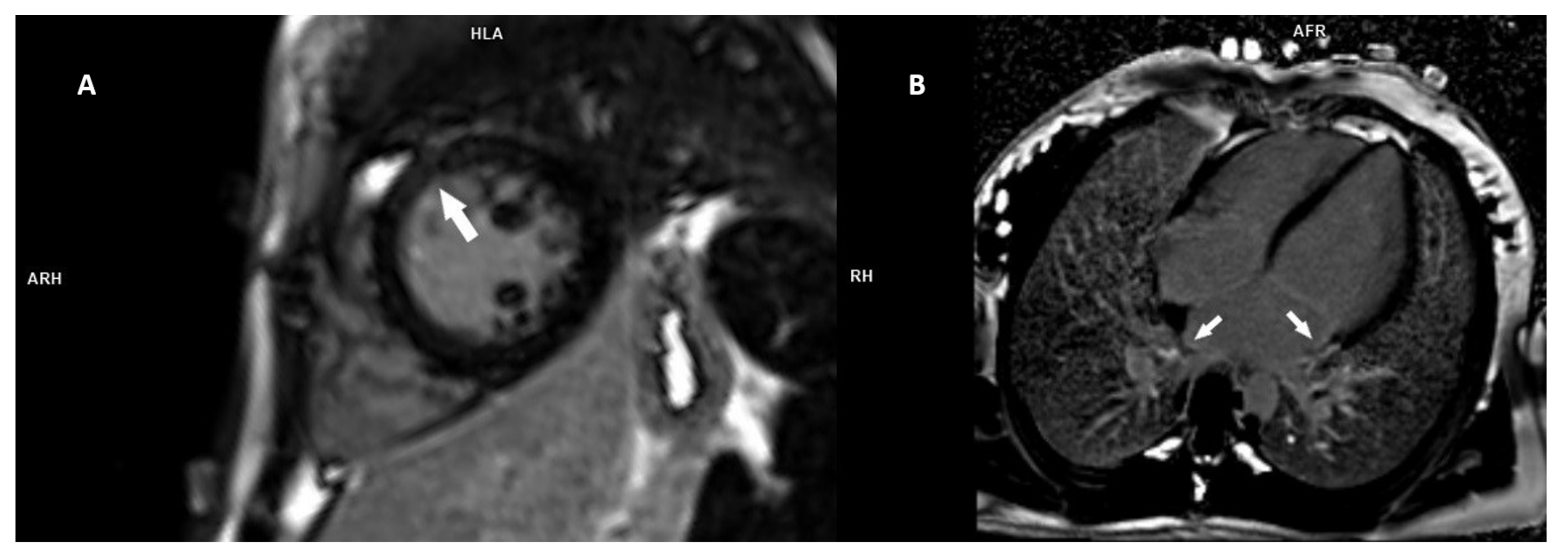 Genes 13 00477 g003 Genes 13 00477 g003