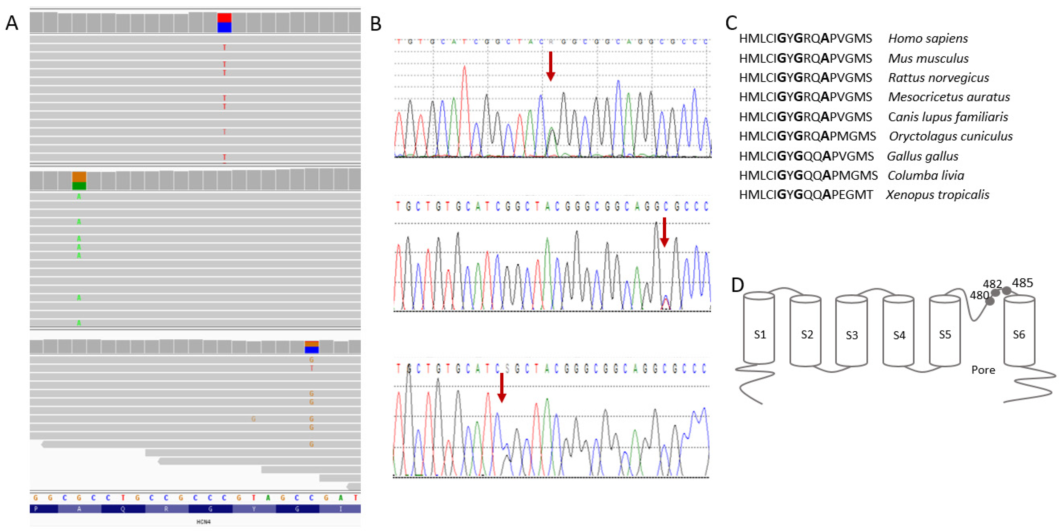 Genes 13 00477 g004 Genes 13 00477 g004