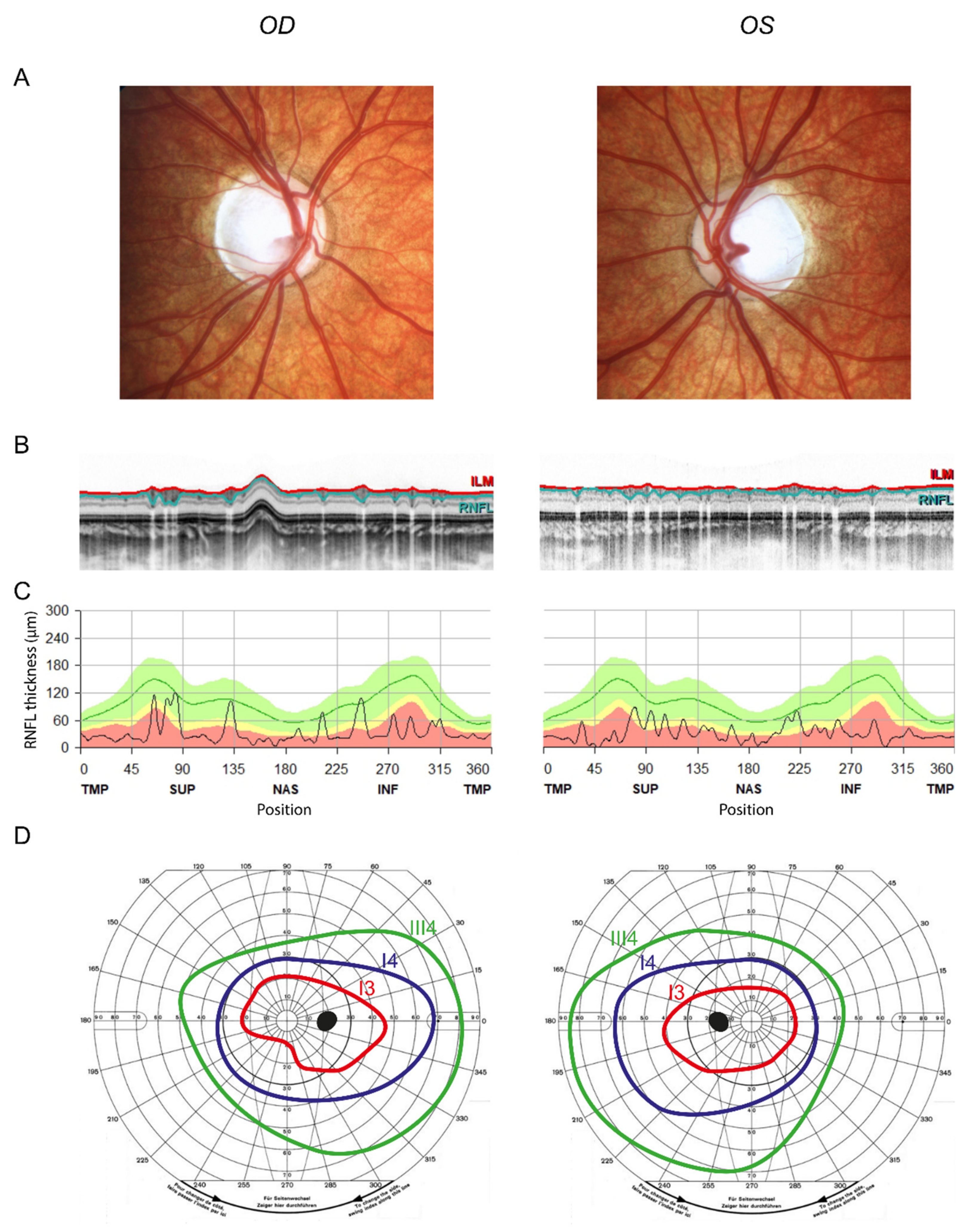 Genes 13 00478 g001 Genes 13 00478 g001