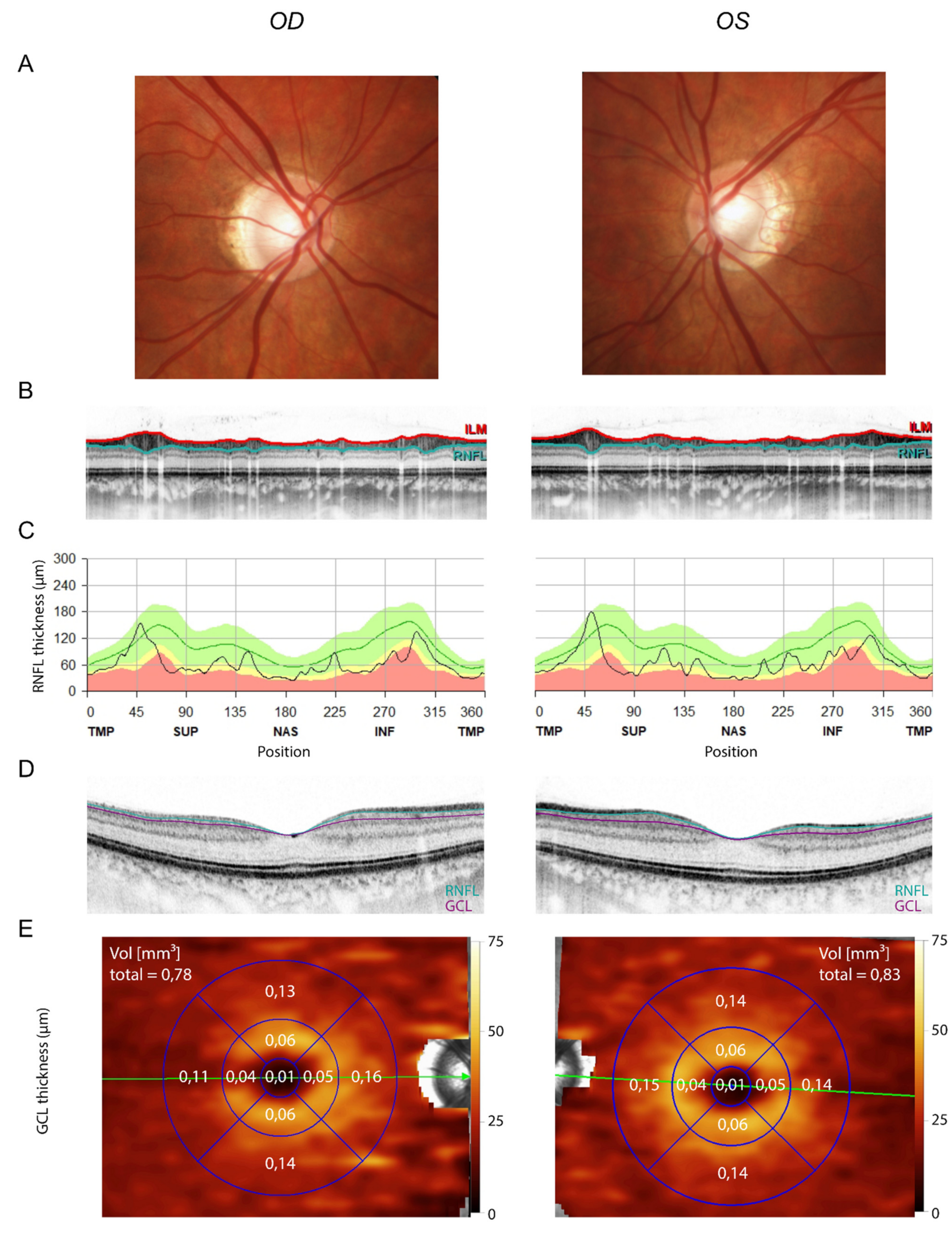 Genes 13 00478 g003 Genes 13 00478 g003