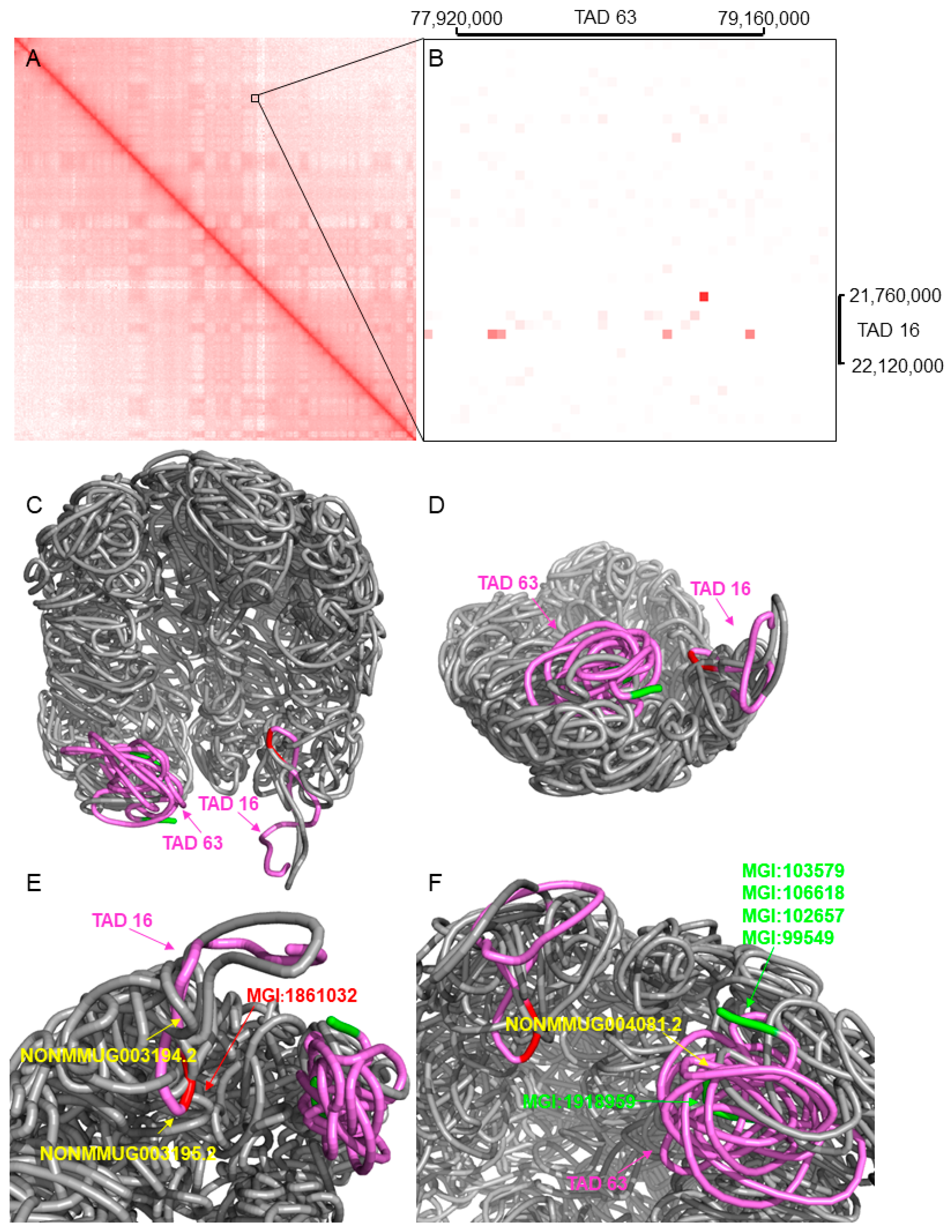 Genes 13 00480 g006 Genes 13 00480 g006