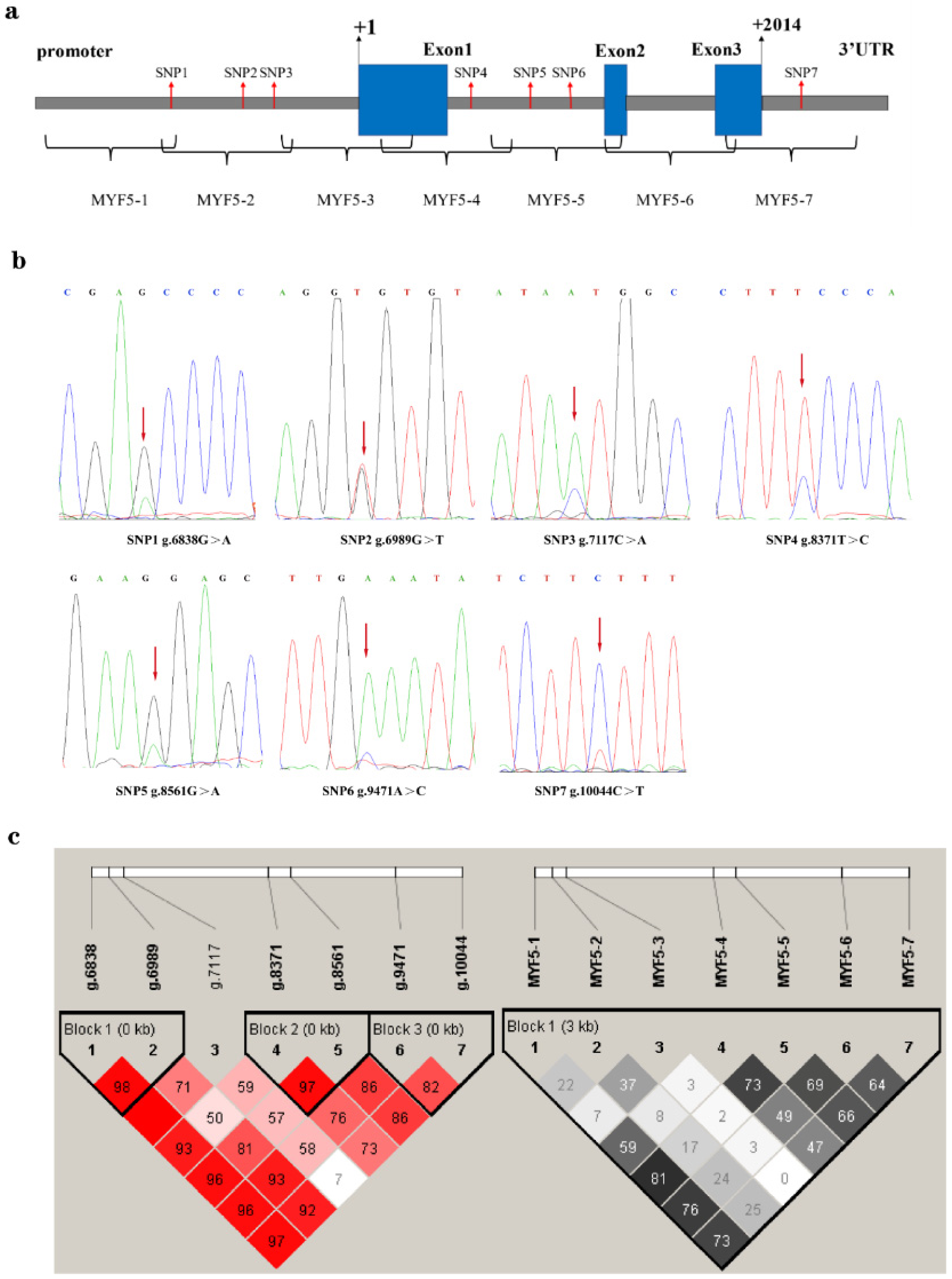 Genes 13 00483 g001