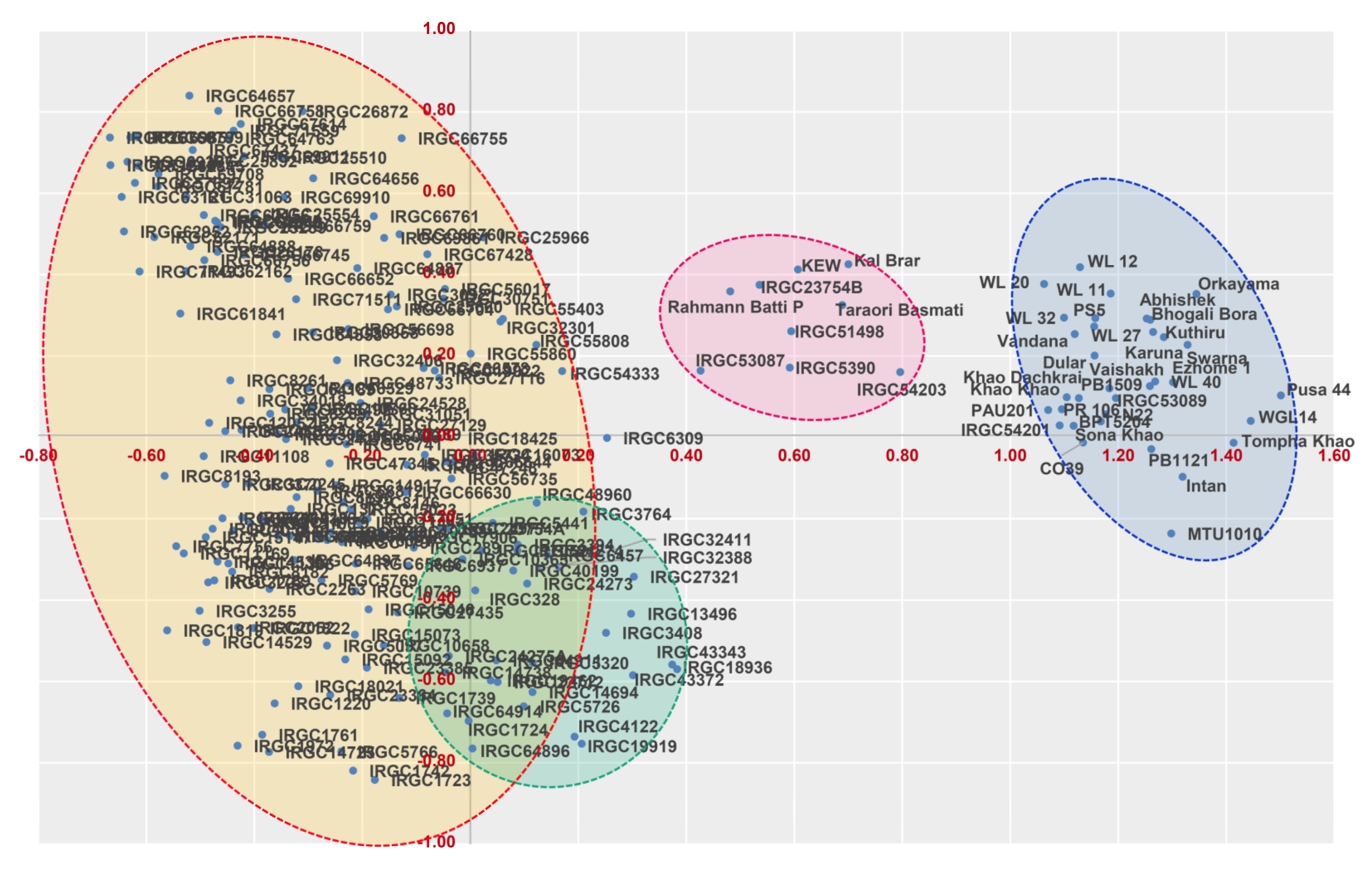 Genes 13 00484 g003 550