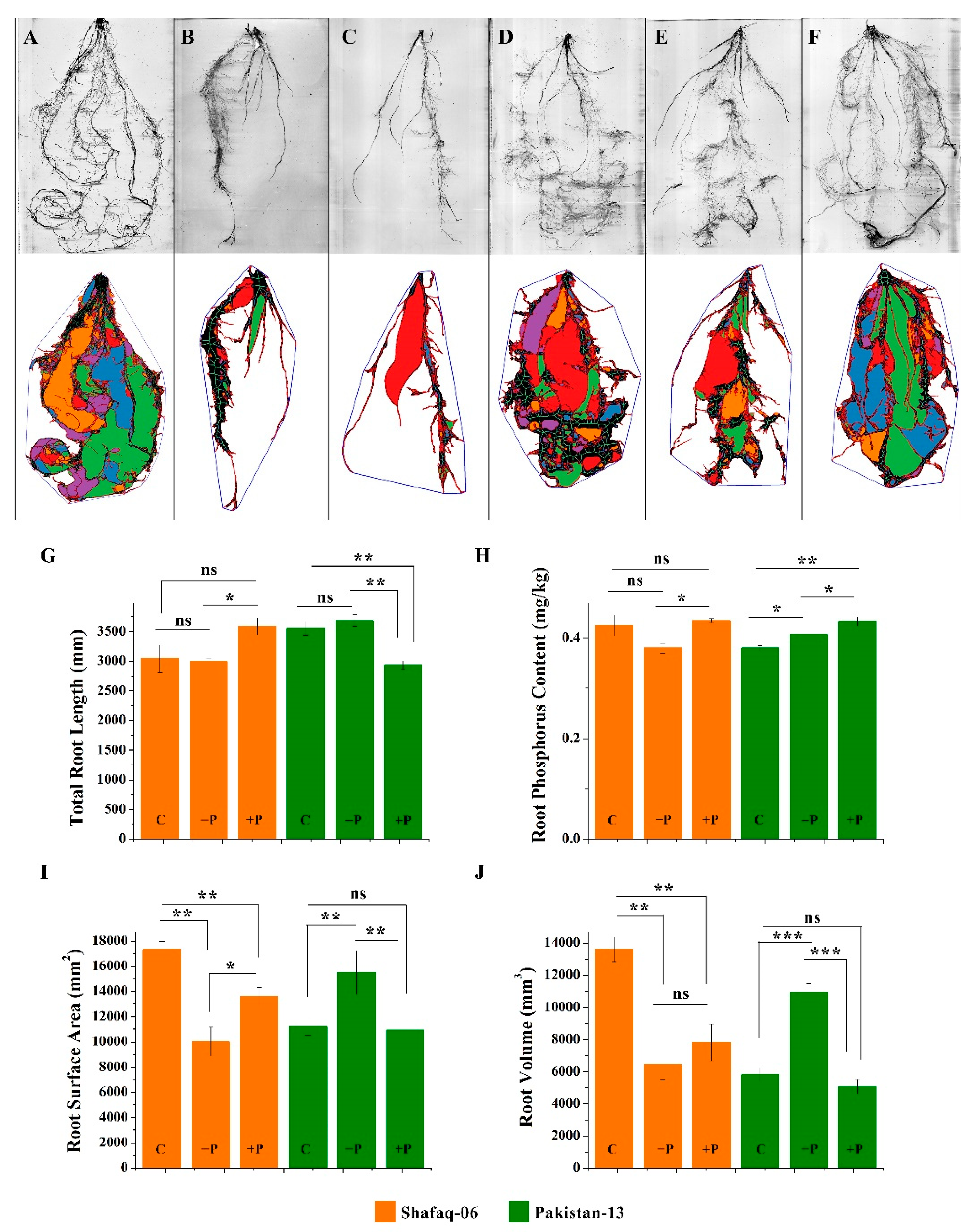 Genes 13 00487 g009