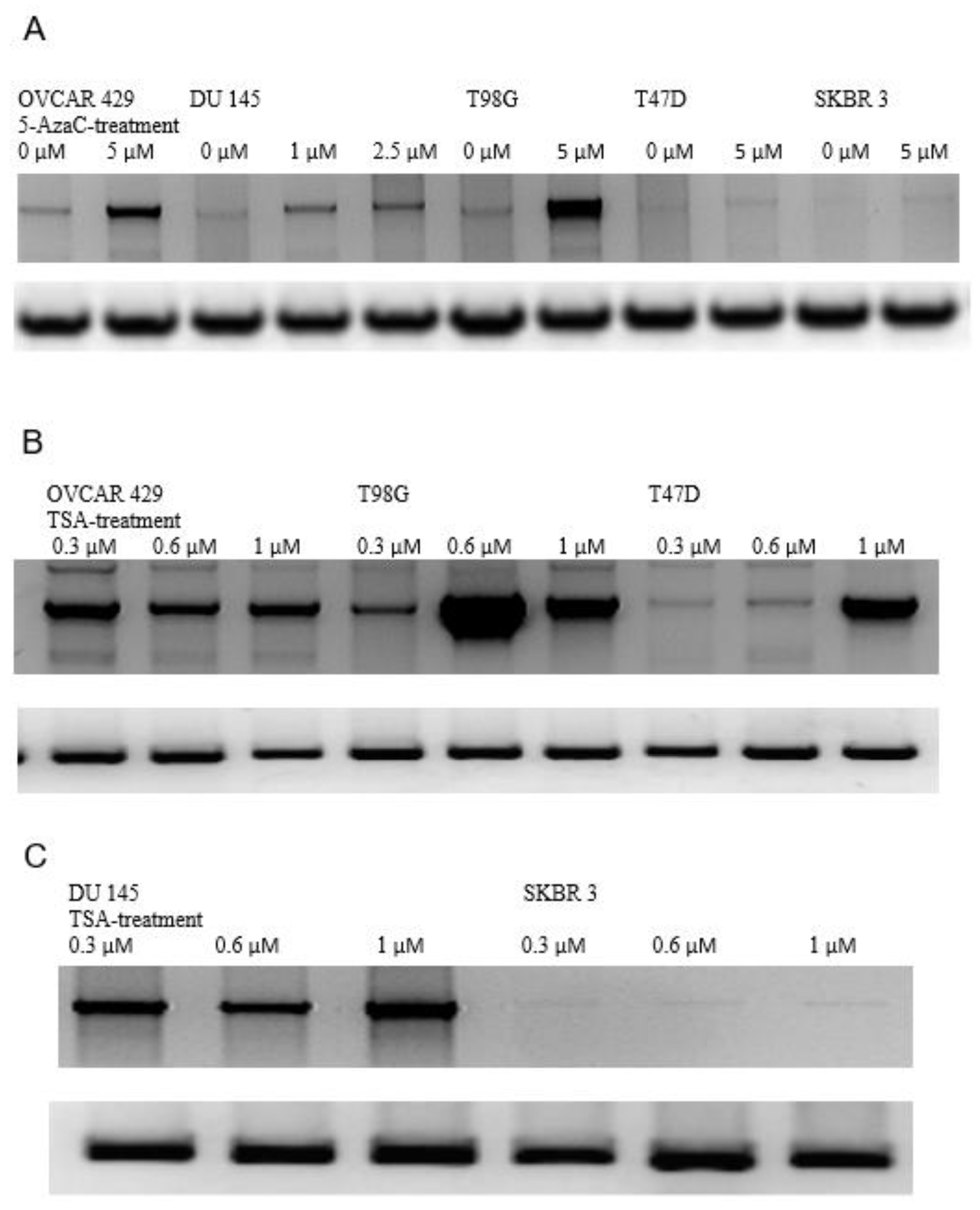 Genes 13 00490 g004 Genes 13 00490 g004