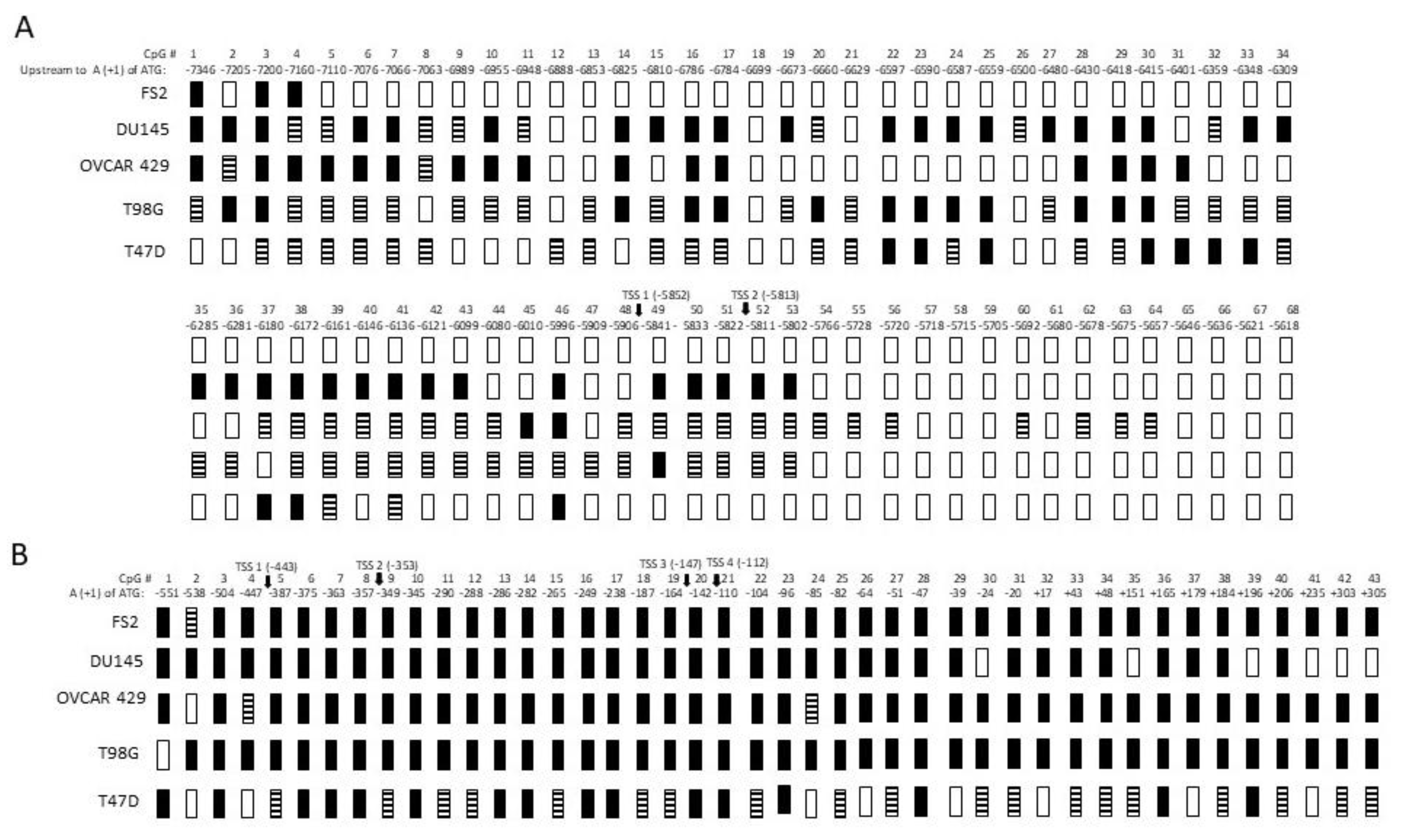 Genes 13 00490 g006 Genes 13 00490 g006