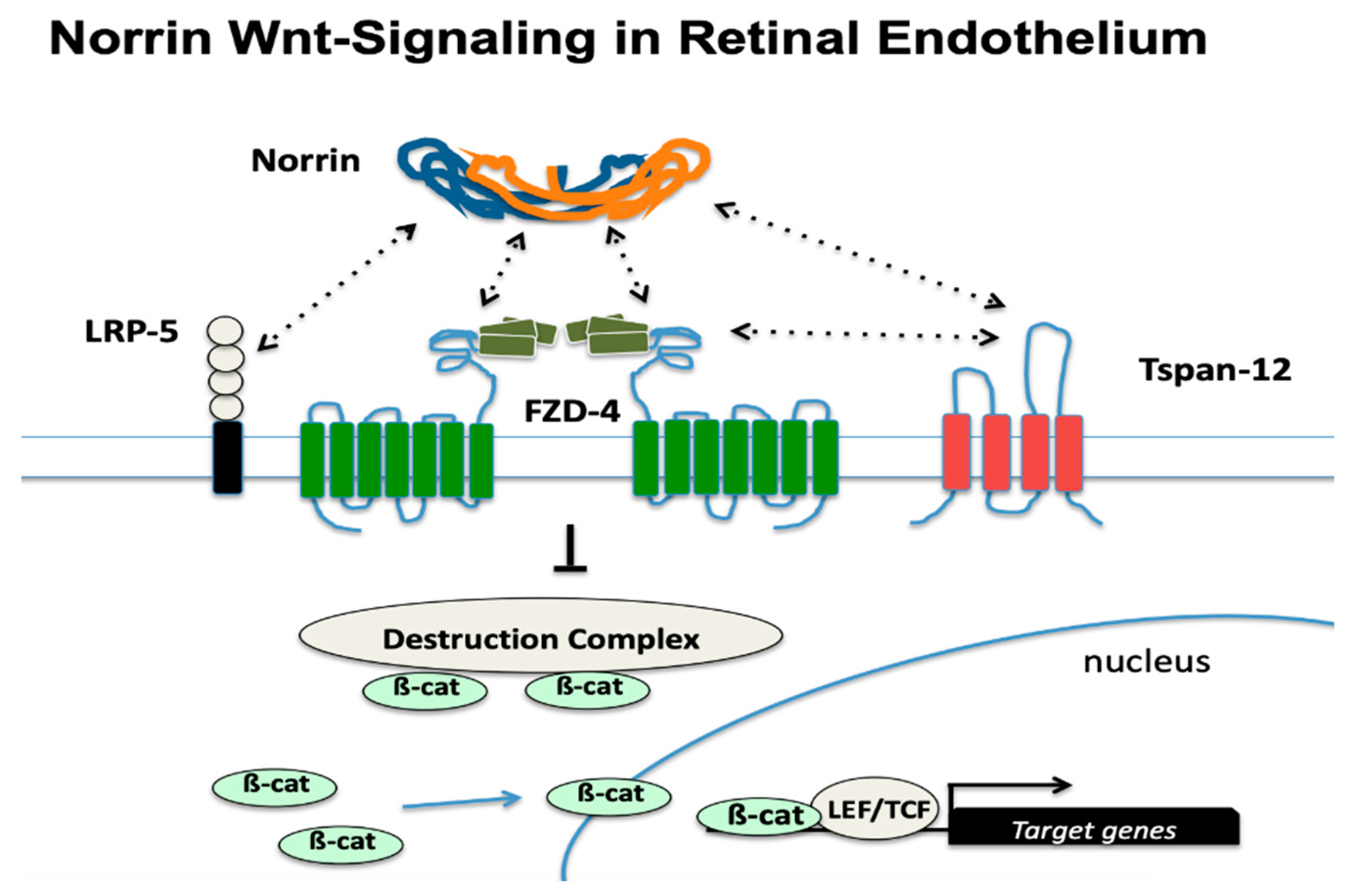 Genes 13 00495 g001 550