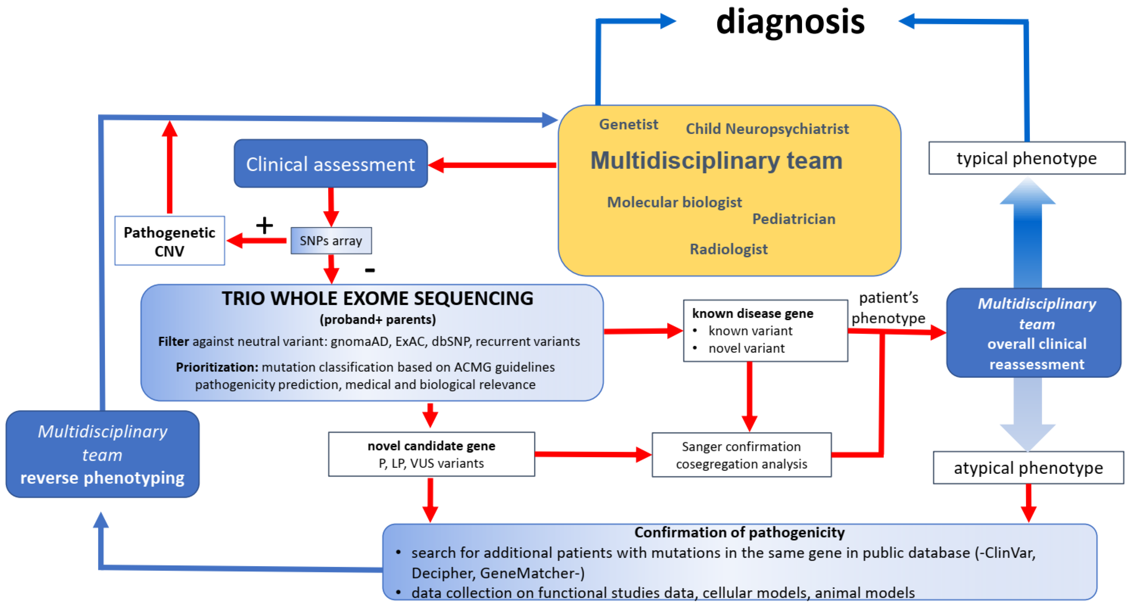 Genes 13 00500 g001 550