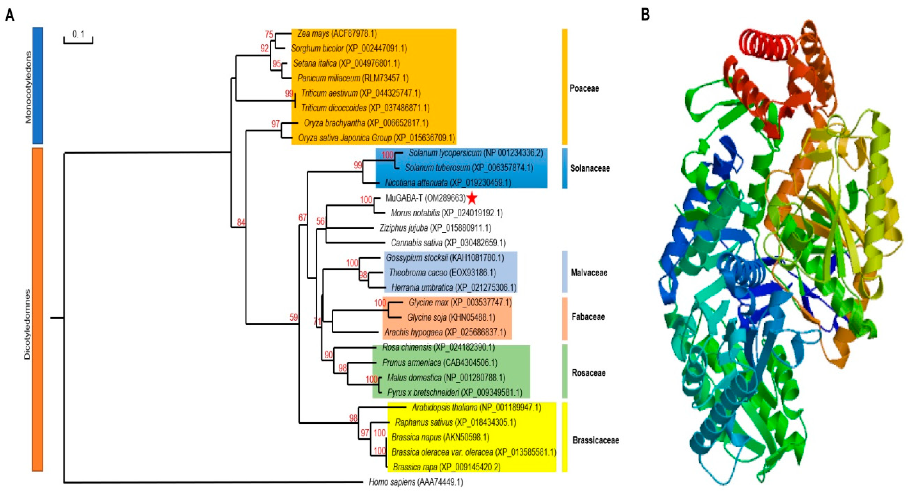 Genes 13 00501 g003 550