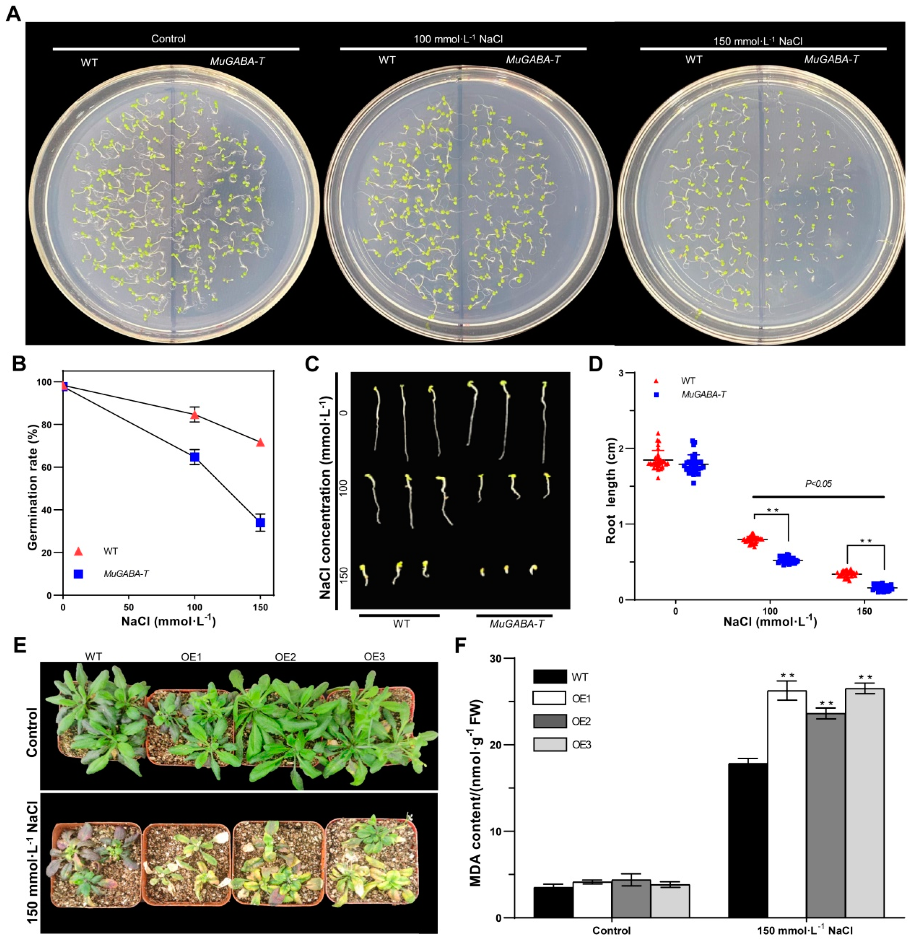 Genes 13 00501 g005 550