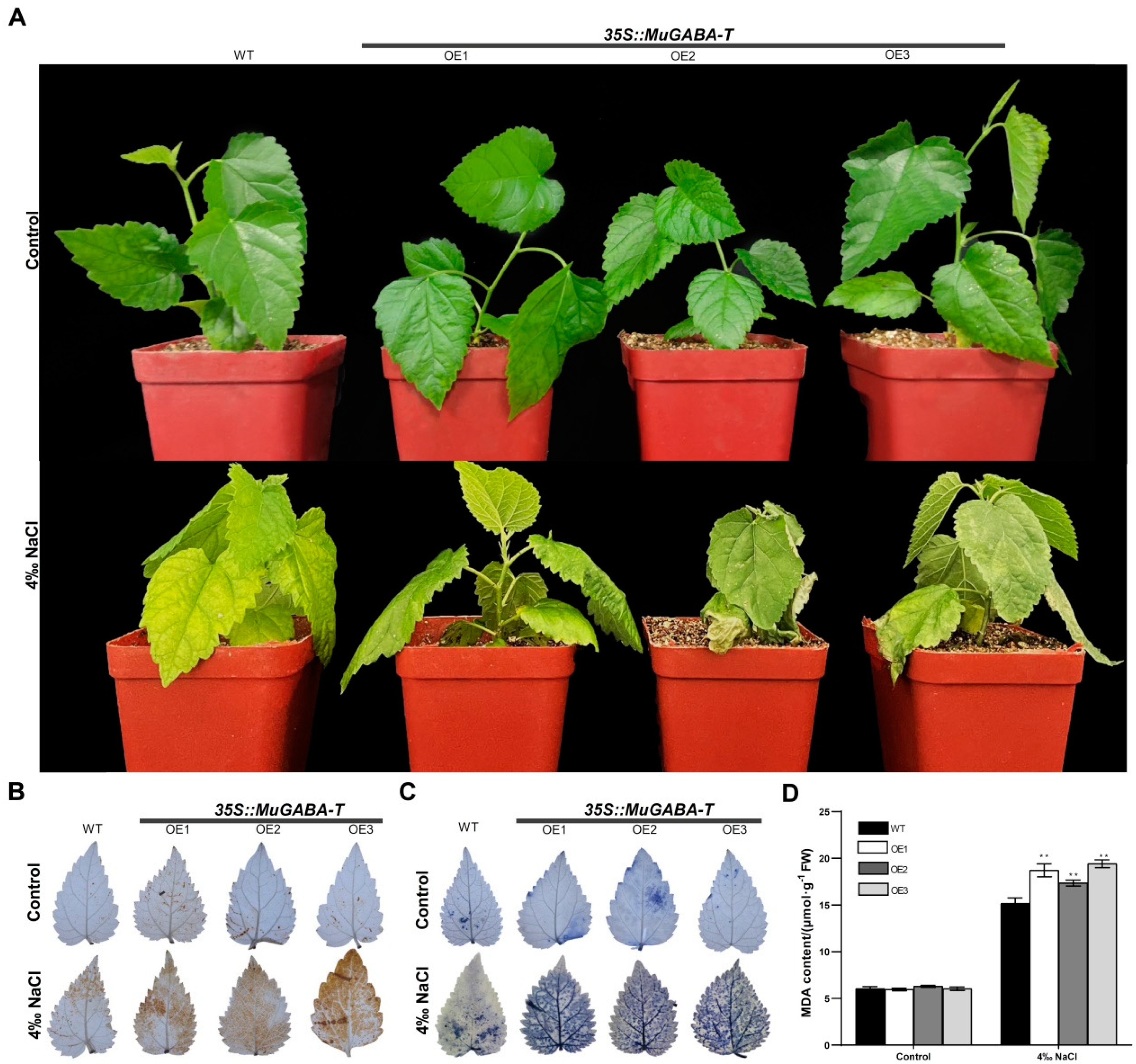 Genes 13 00501 g007 550