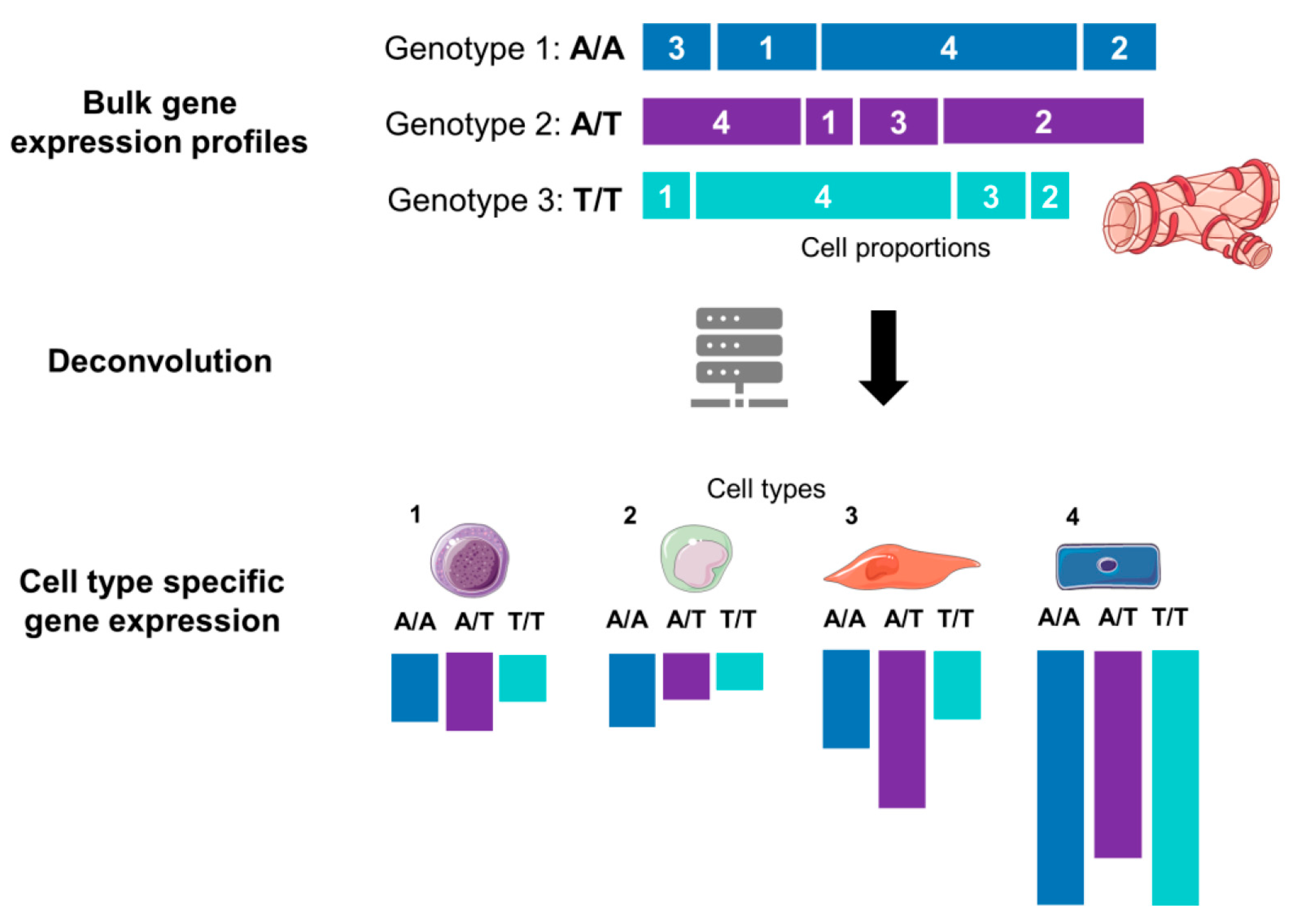 Genes 13 00502 g003 550