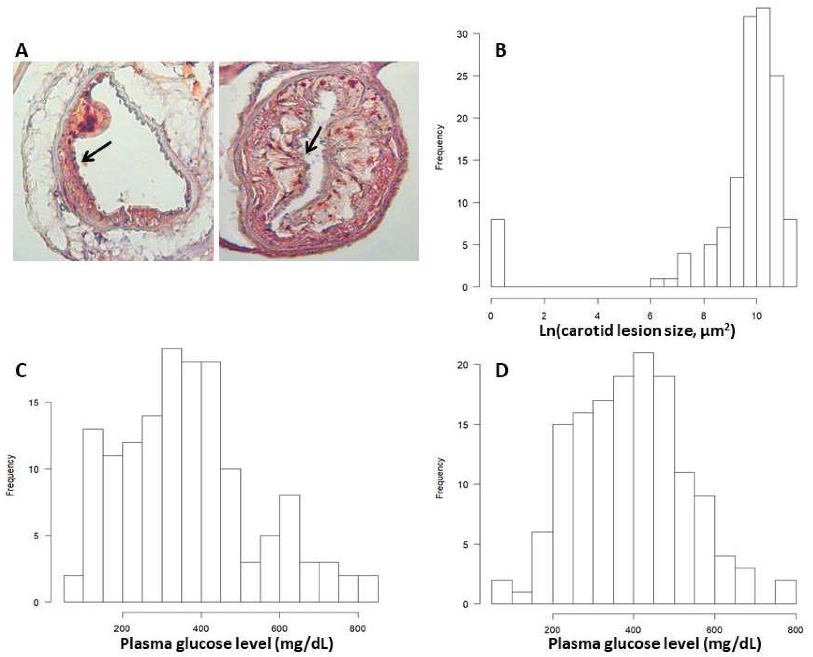 Genes 13 00510 g001 Genes 13 00510 g001