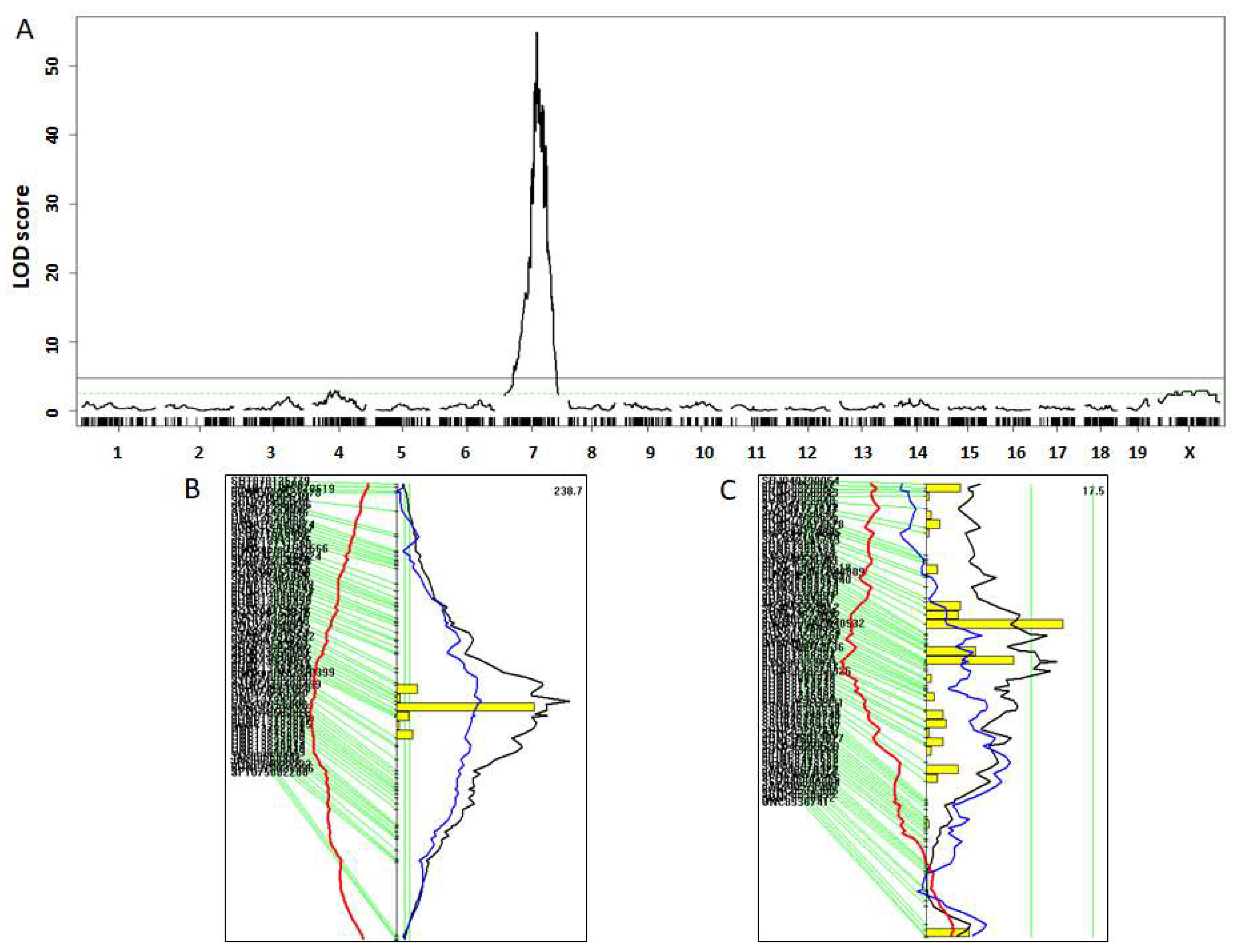 Genes 13 00510 g002 Genes 13 00510 g002
