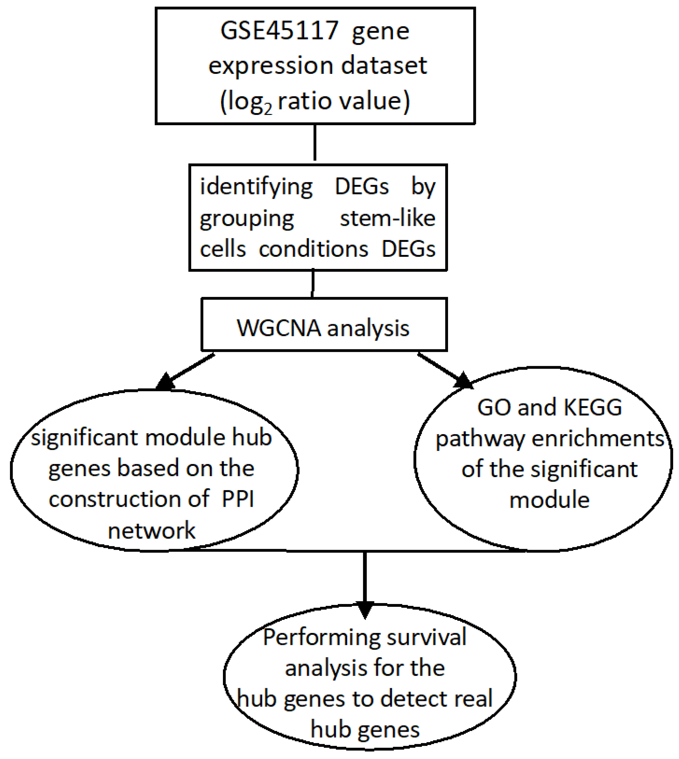 Genes 13 00518 g001 550