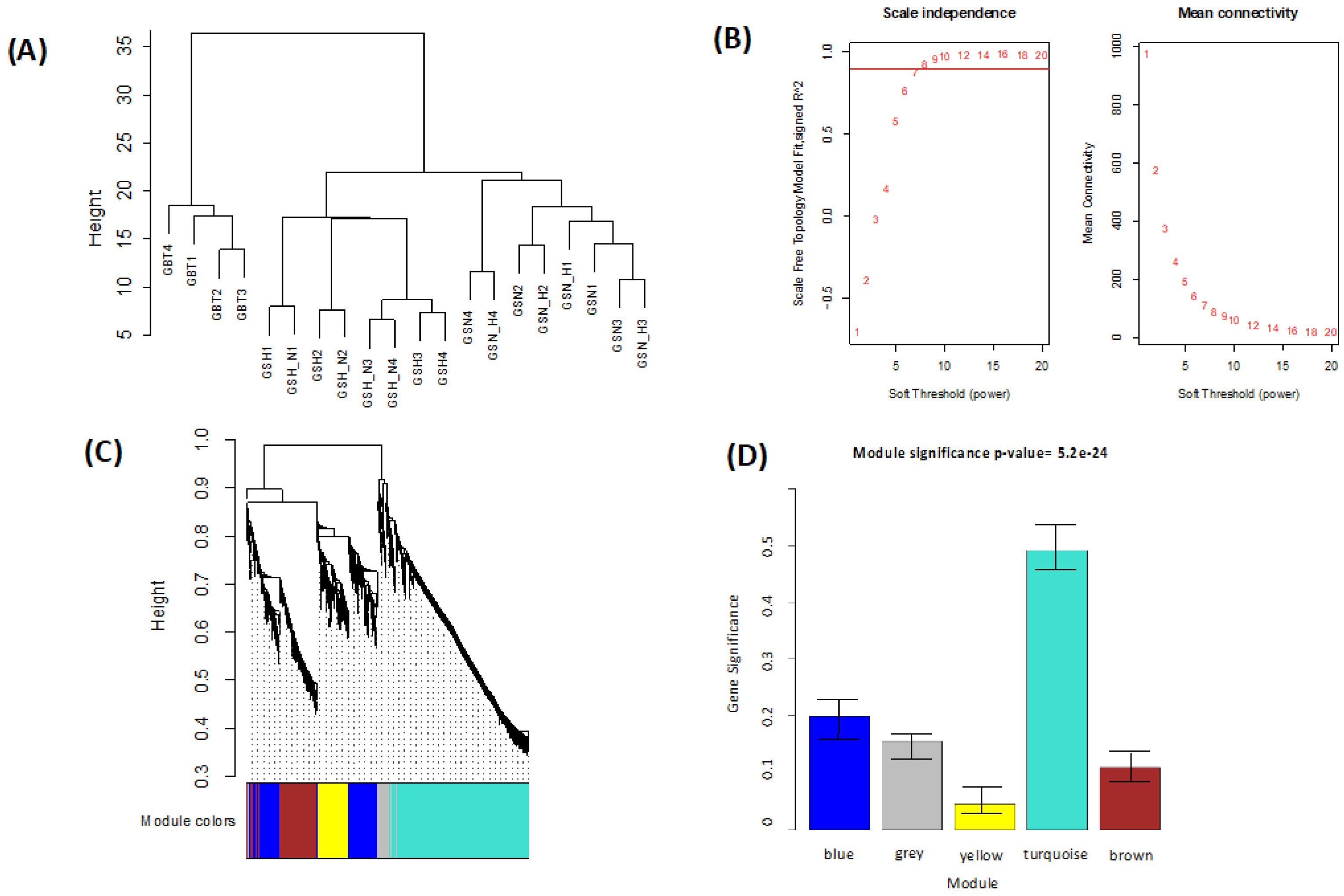 Genes 13 00518 g003 550