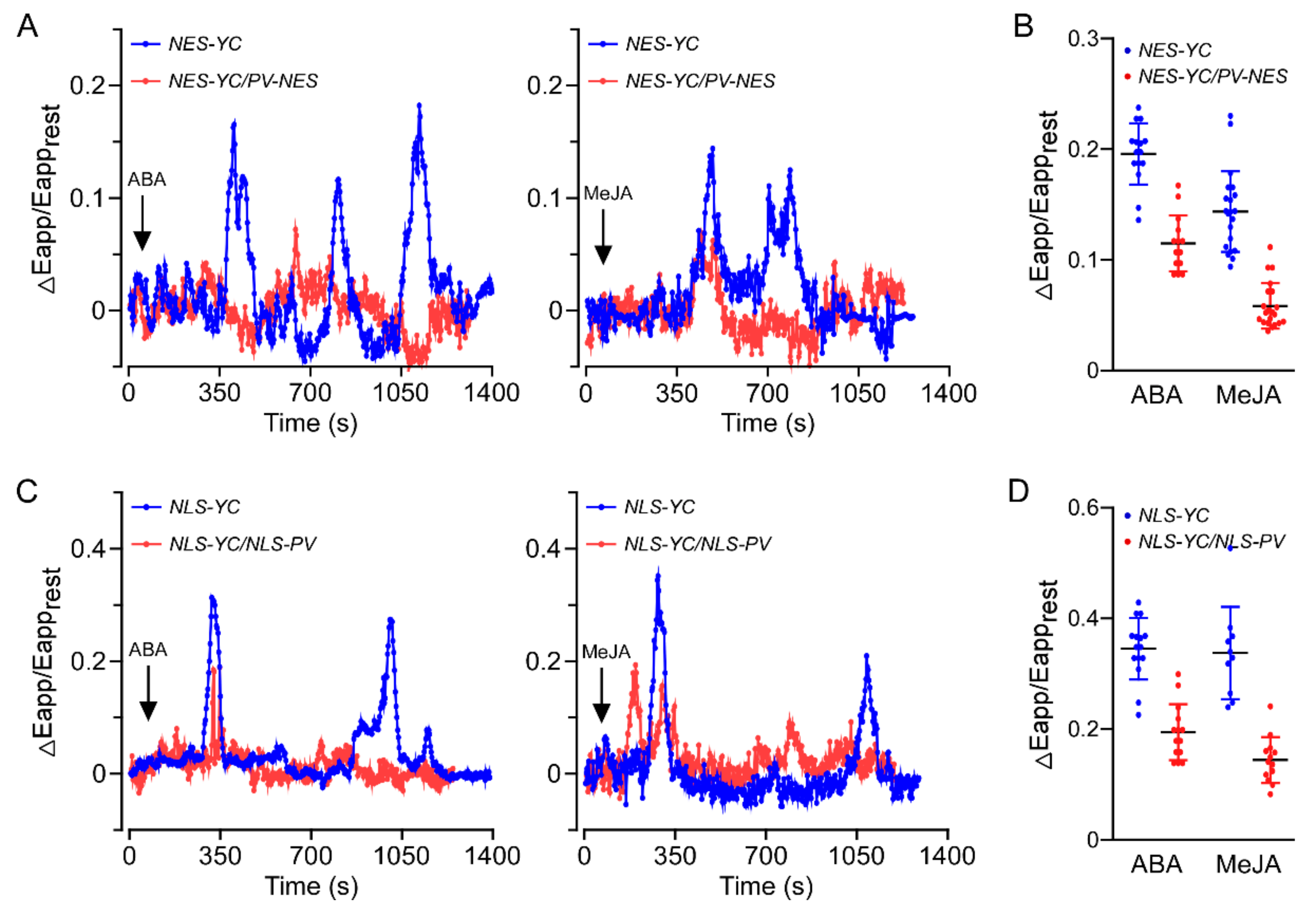 Genes 13 00524 g001 Genes 13 00524 g001