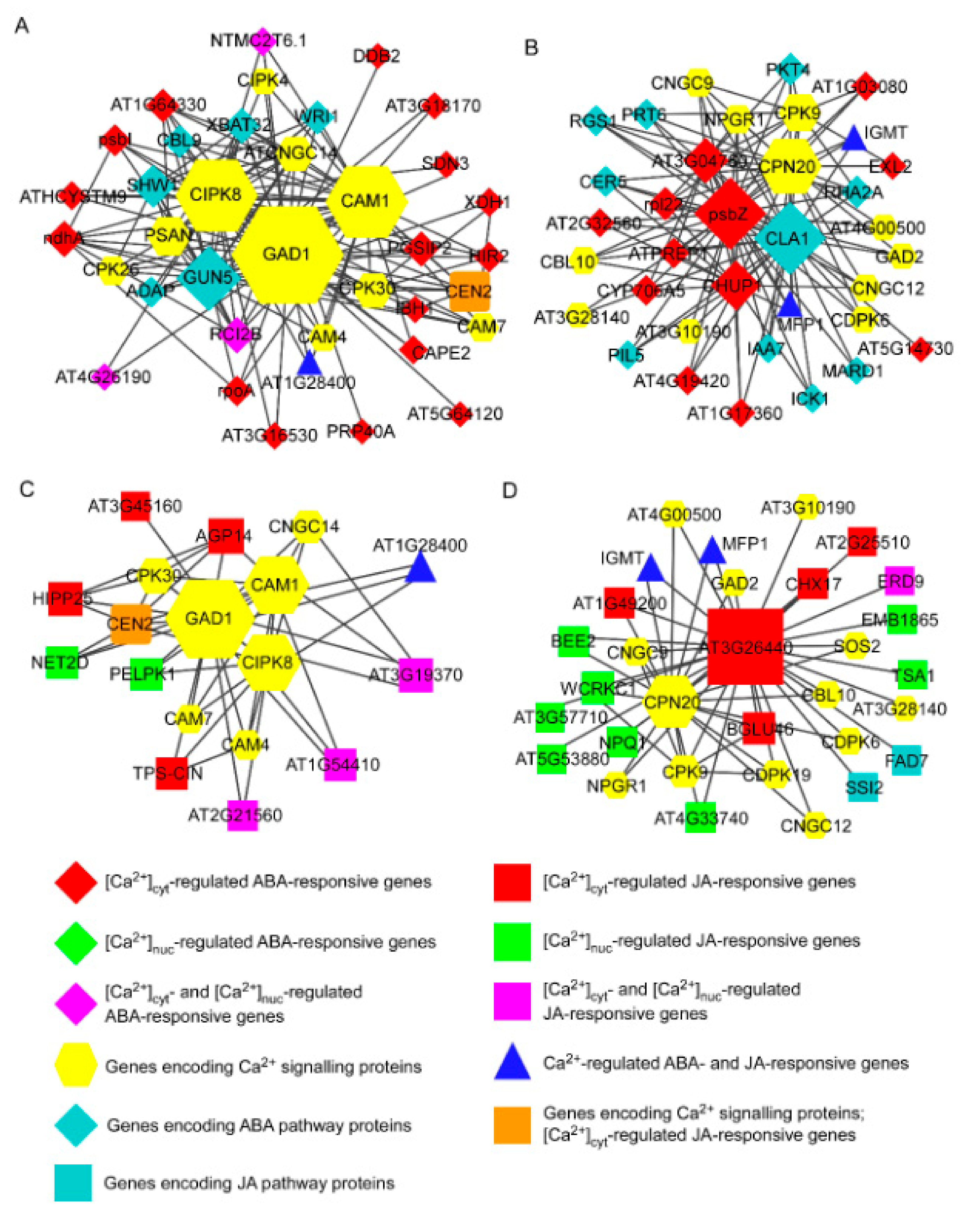 Genes 13 00524 g003 Genes 13 00524 g003