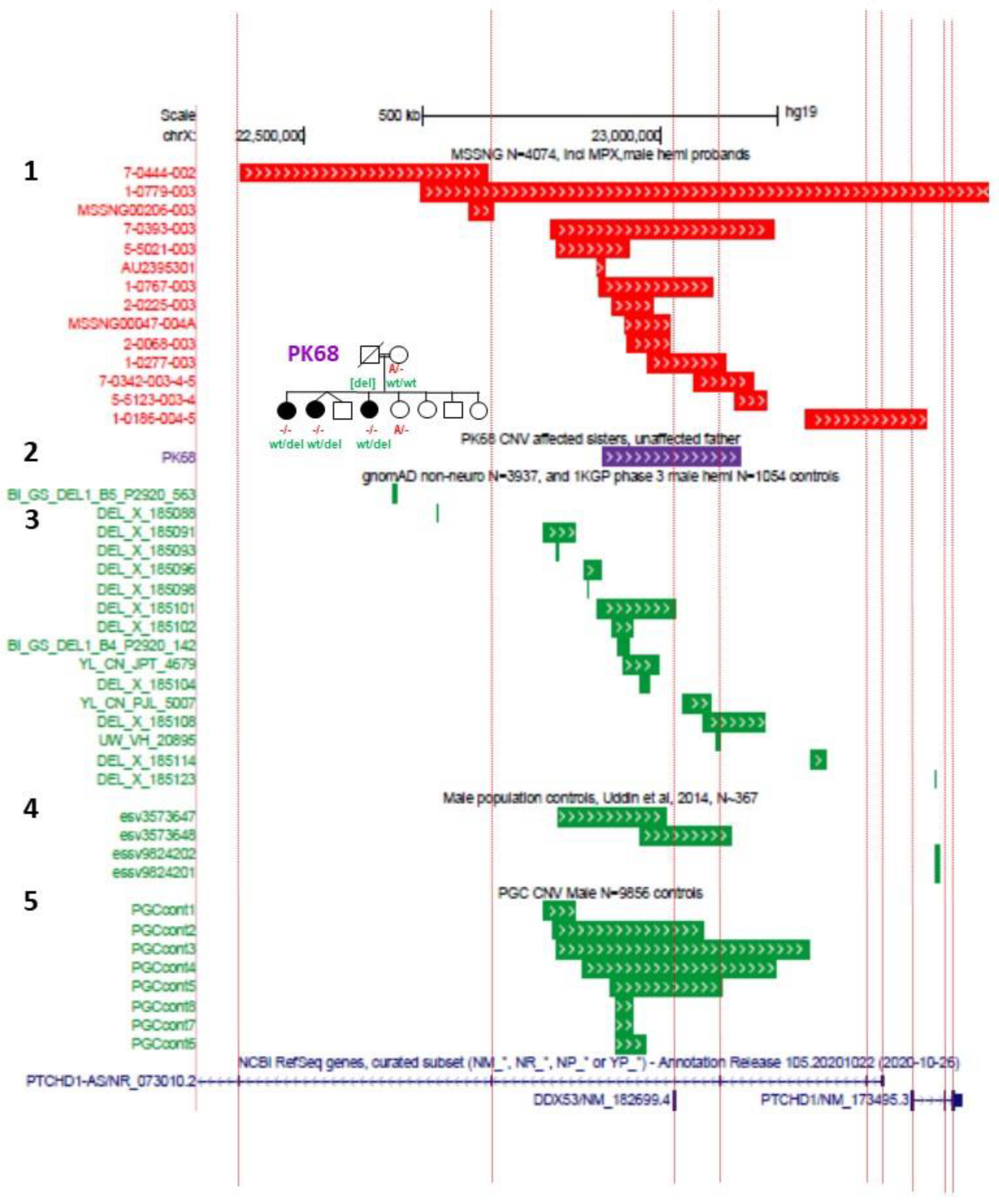 Genes 13 00527 g002 550