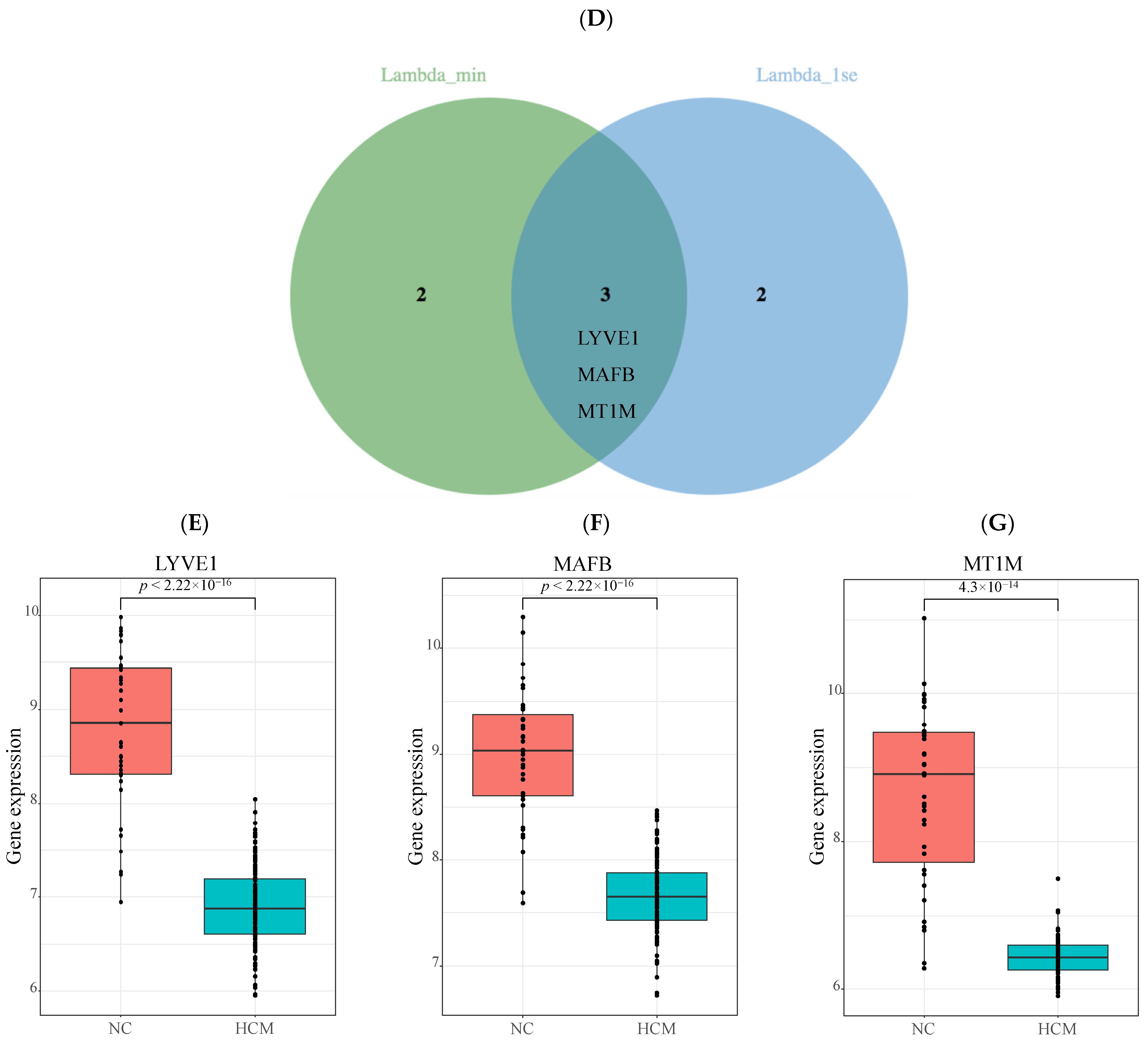 Genes 13 00530 g004b 550