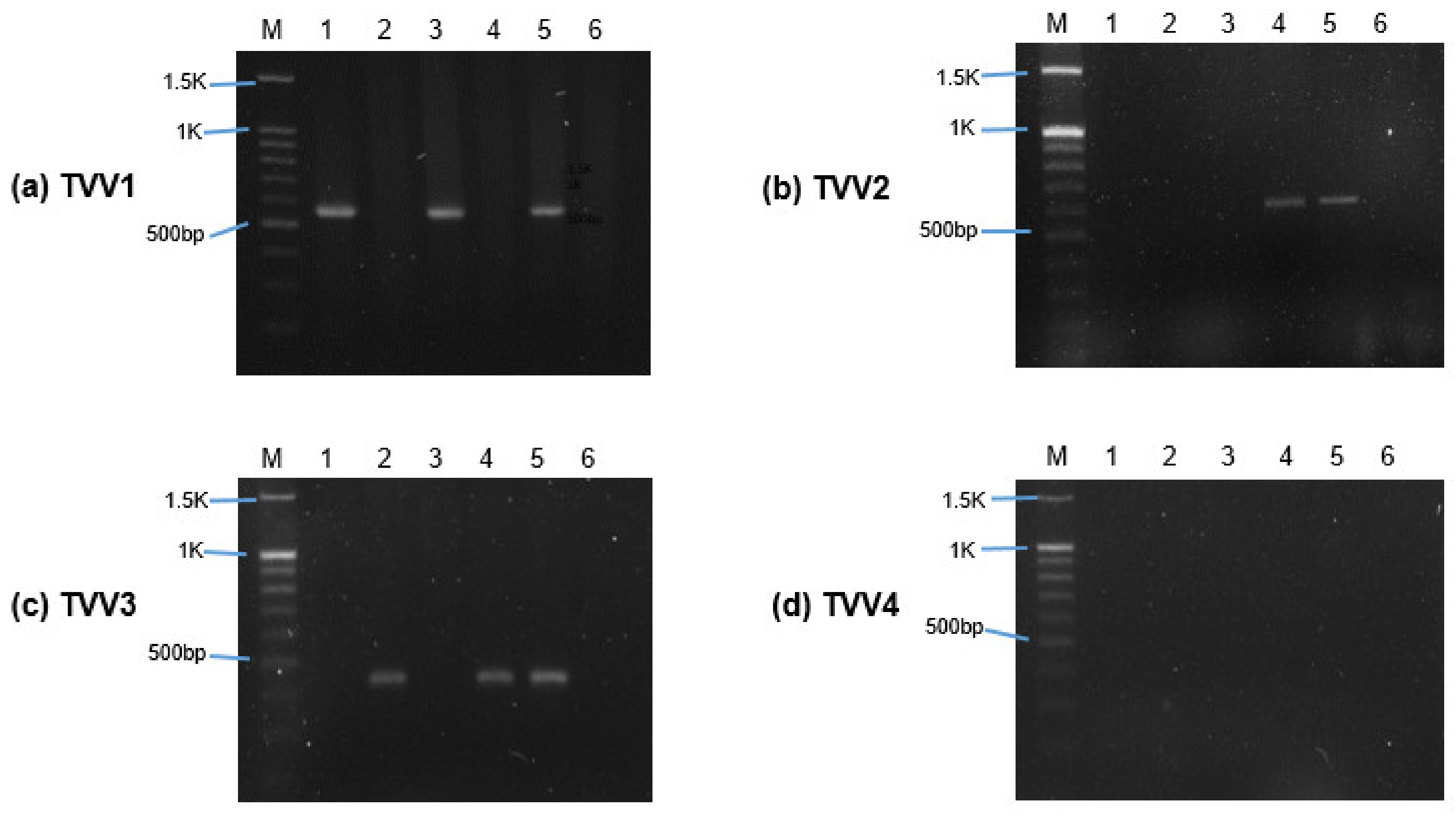 Genes 13 00531 g001 Genes 13 00531 g001