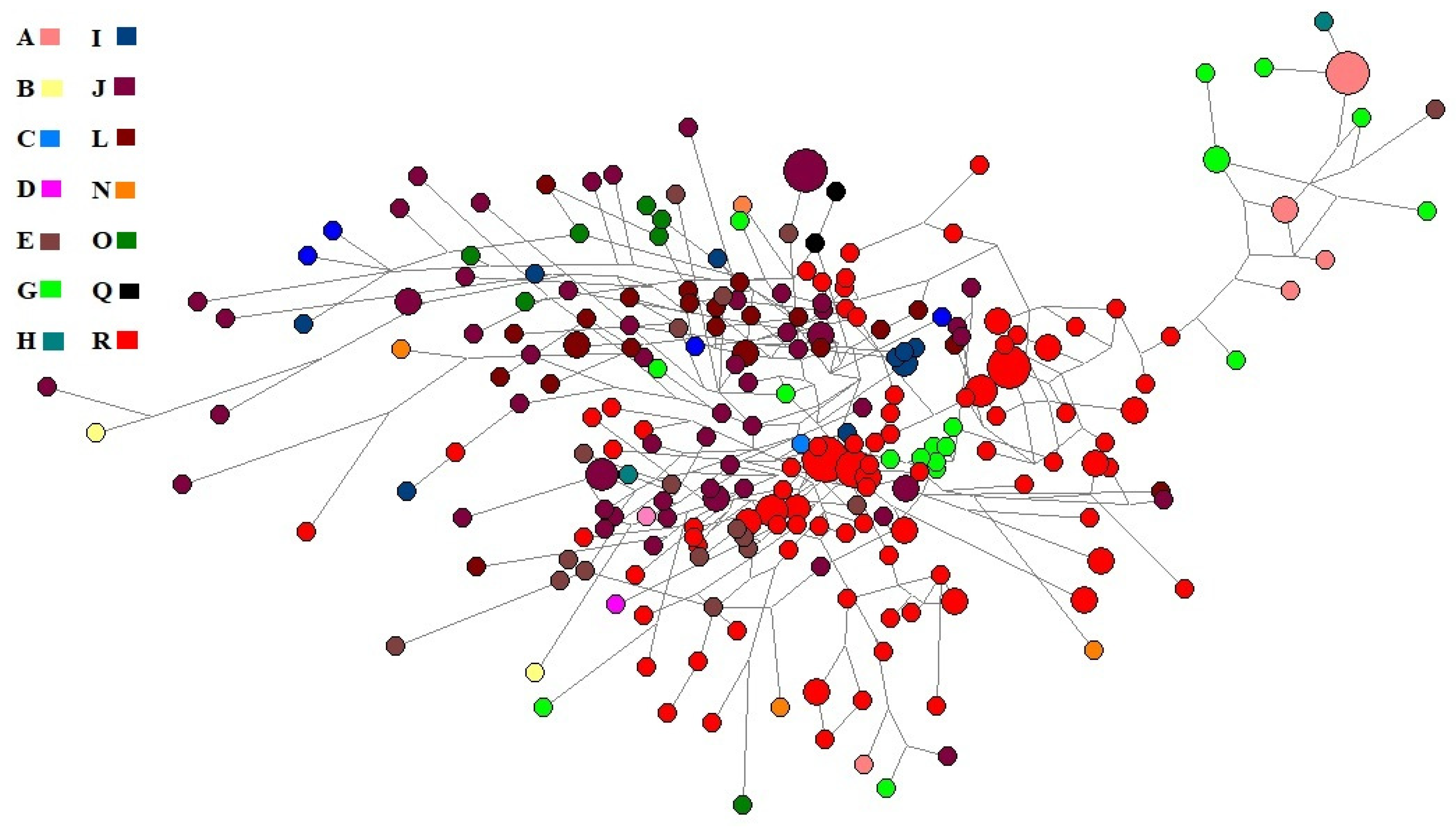Genes 13 00532 g002 550