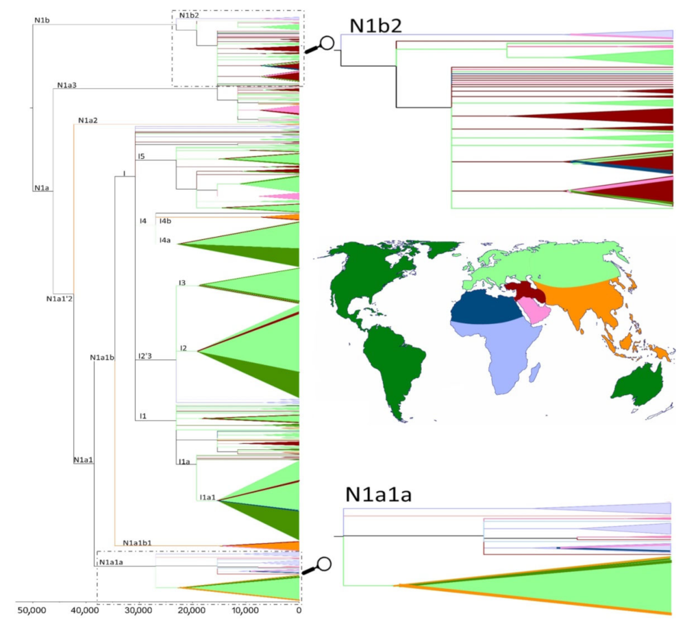 Genes 13 00533 g006 Genes 13 00533 g006
