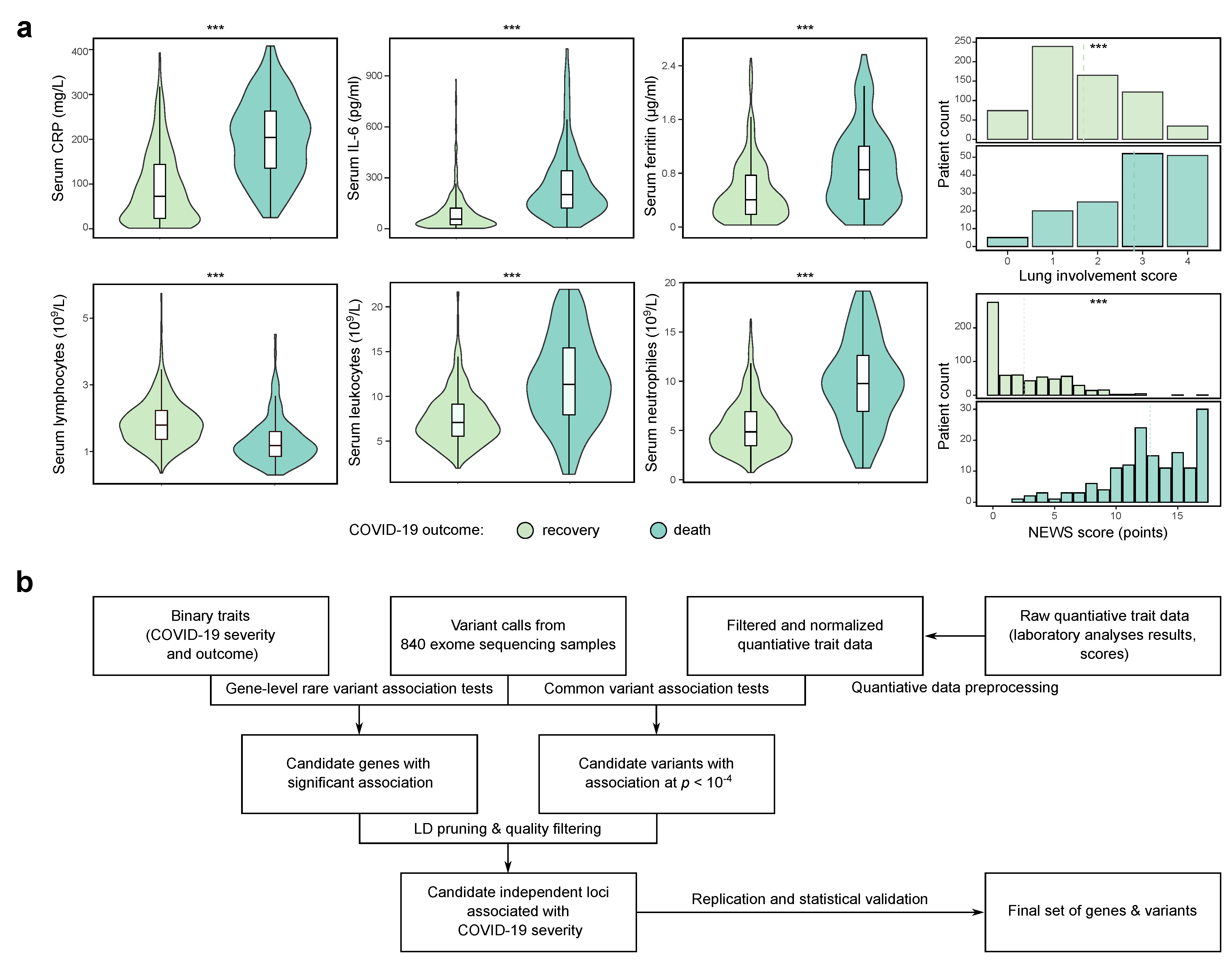 Genetic Factors of the Disease Course after Sepsis: A Genome-Wide Study for  28Day Mortality - eBioMedicine